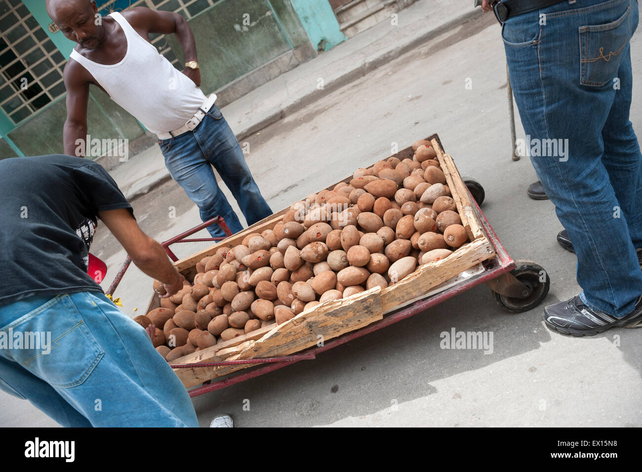 L'Avana, Cuba - Giugno, 2011: venditore ambulante di vendita frutta mamey sorge da mentre il cliente controlla i prodotti, Foto Stock