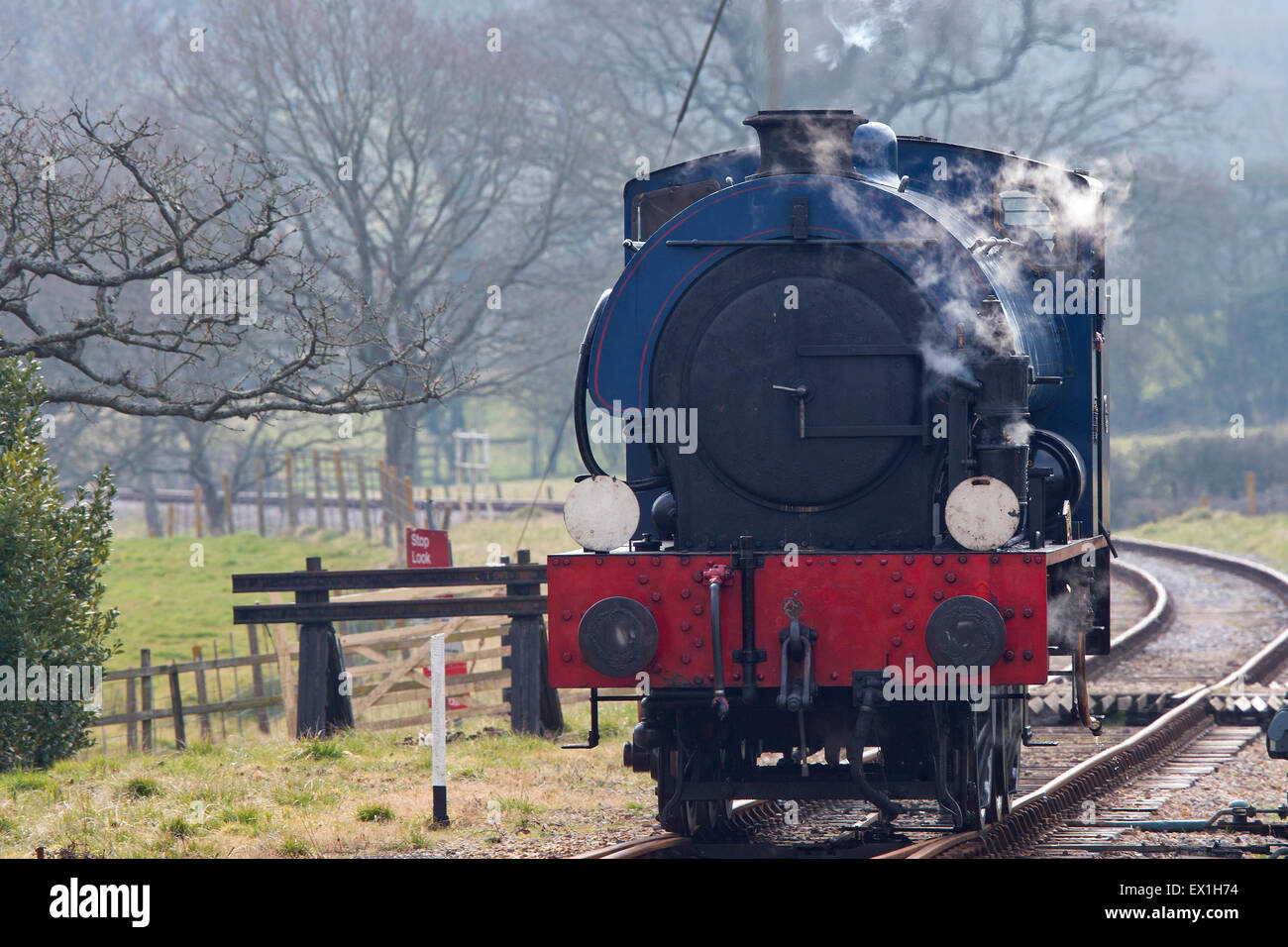 Sella-serbatoio locomotiva a vapore, Isle of Wight, Inghilterra, Regno Unito. Foto Stock