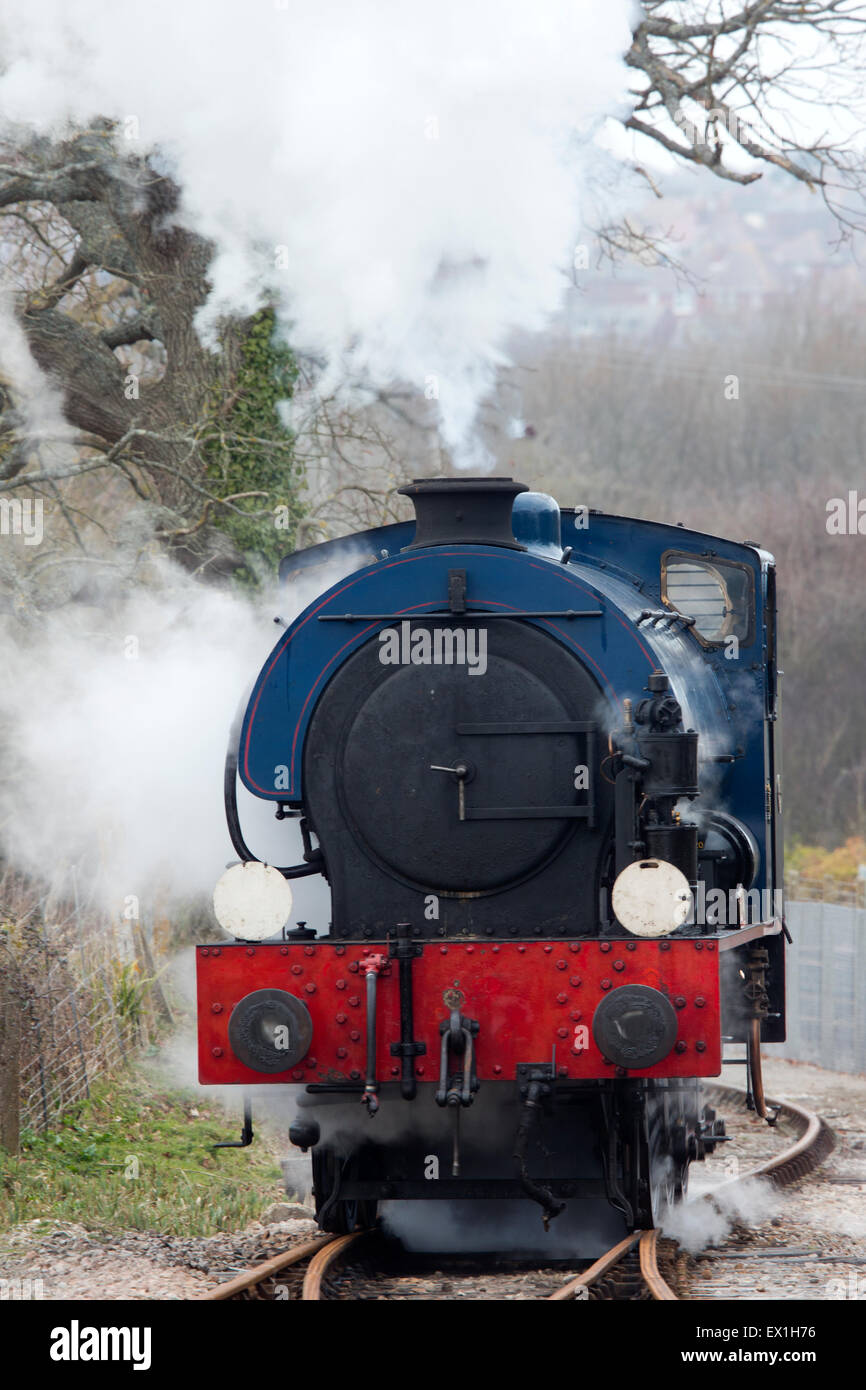 Sella-serbatoio locomotiva a vapore, Isle of Wight, Inghilterra, Regno Unito. Foto Stock
