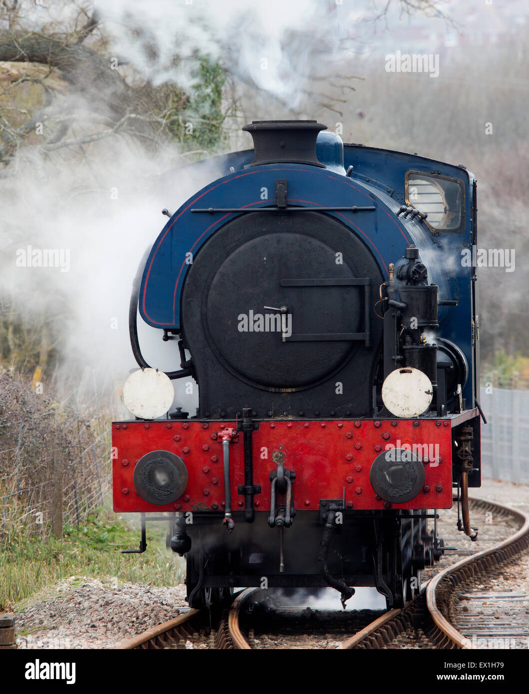 Sella-serbatoio locomotiva a vapore, Isle of Wight, Inghilterra, Regno Unito. Foto Stock