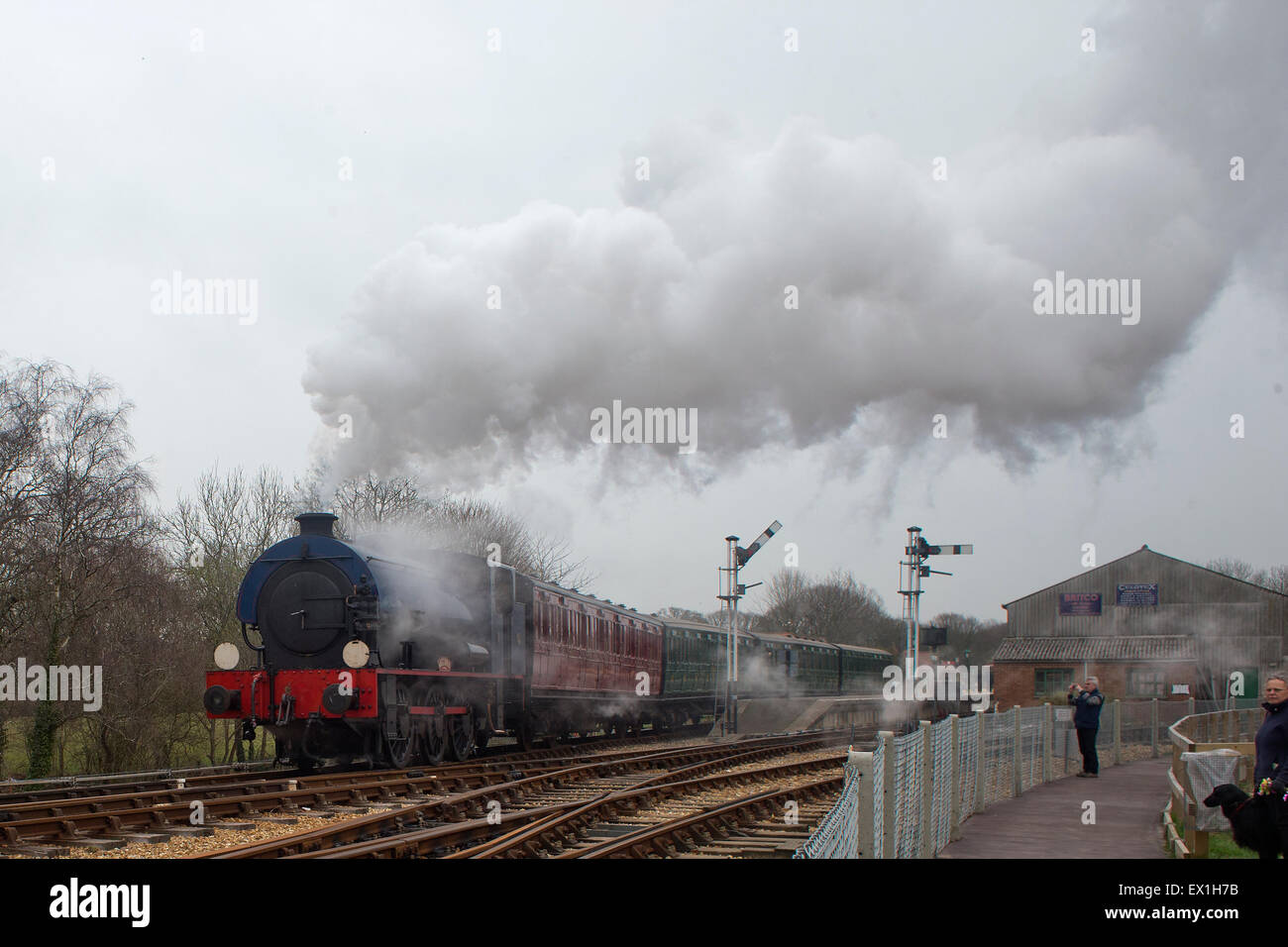 Sella-serbatoio locomotiva a vapore, Isle of Wight, Inghilterra, Regno Unito. Foto Stock