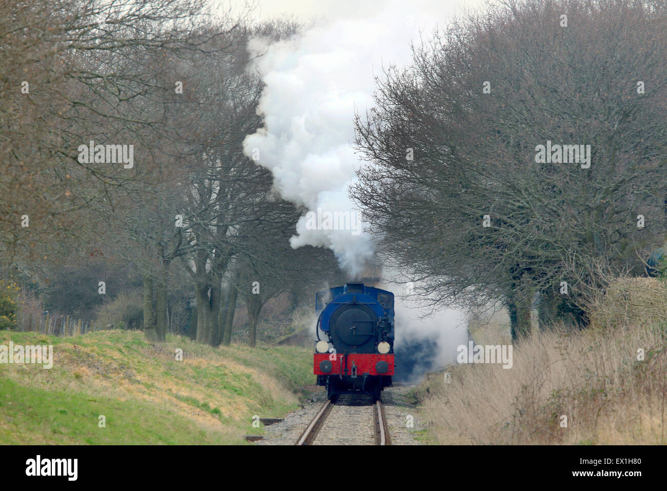 Sella-serbatoio locomotiva a vapore voce un treno, Isle of Wight, Inghilterra, Regno Unito. Foto Stock