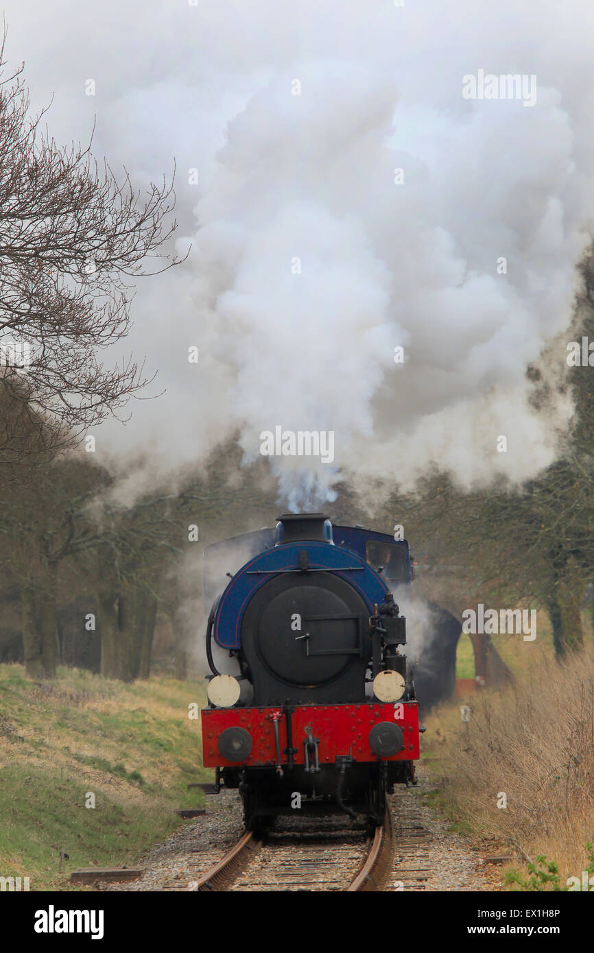Fumo Billowing da una sella-serbatoio locomotiva a vapore, Isle of Wight, Inghilterra, Regno Unito. Foto Stock