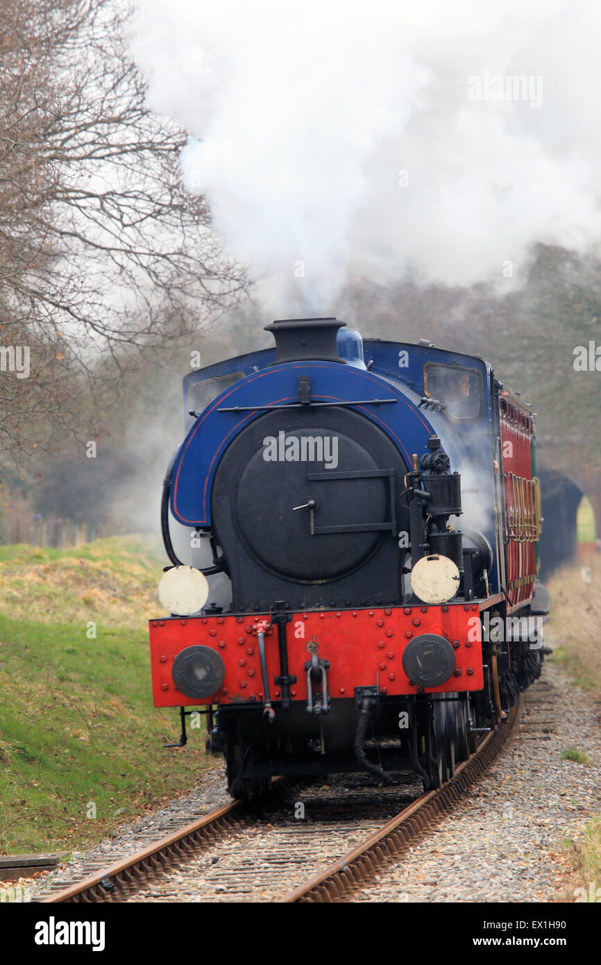 Sella-serbatoio locomotiva a vapore, Isle of Wight, Inghilterra, Regno Unito. Foto Stock