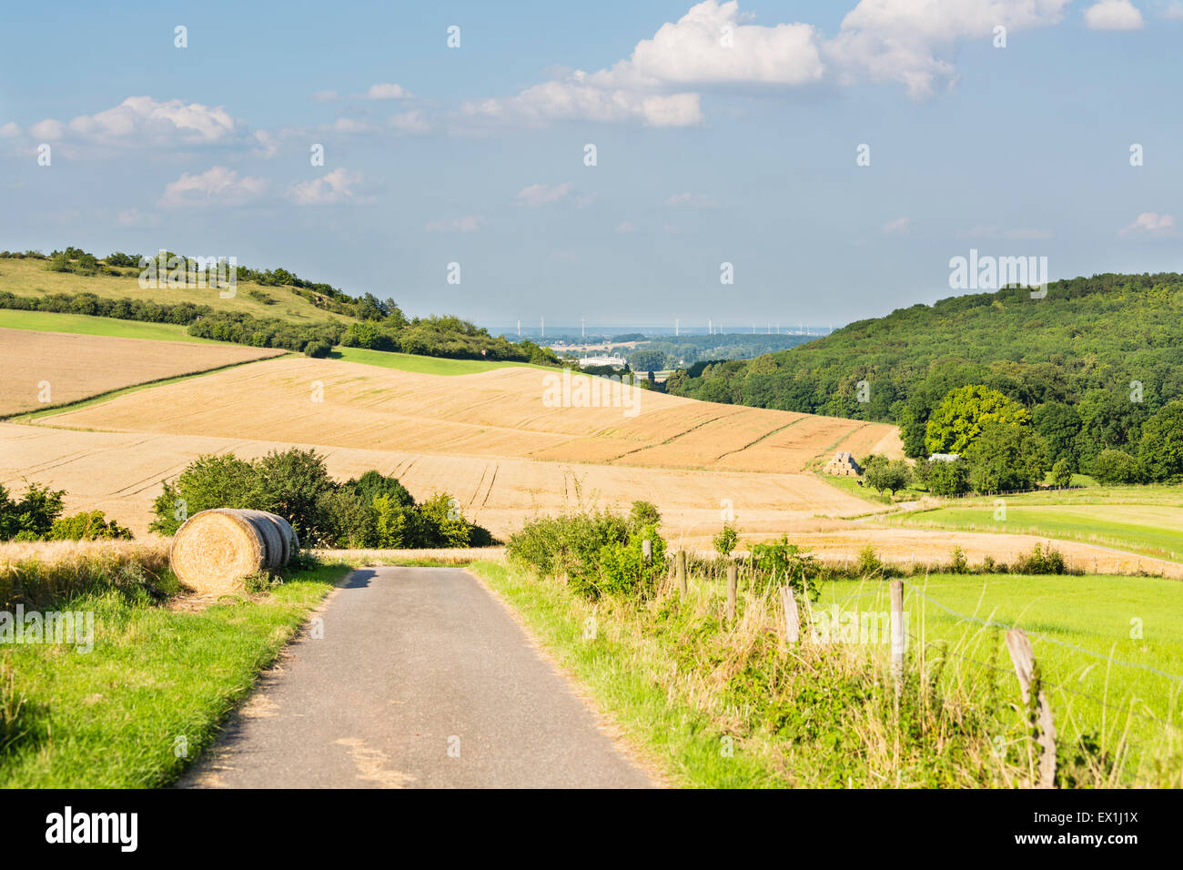 Una strada che conduce al golden campi di segale in bella luce sulle colline a nord di Eifel paesaggio in Germania con alcune turbine eoliche Foto Stock