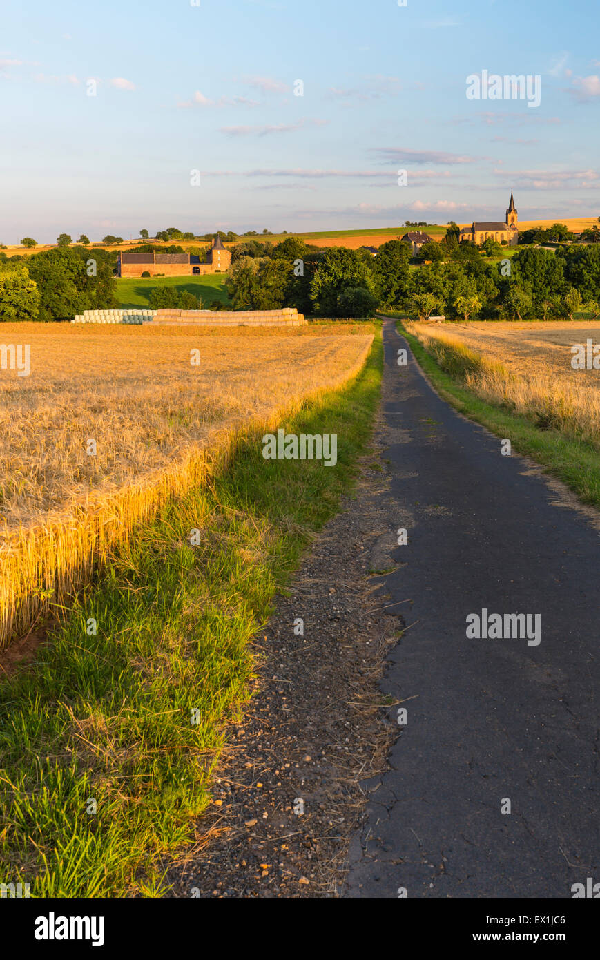 Una strada di campagna che conduce attraverso campi dorati verso un villaggio in Eifel, Germania. Foto Stock