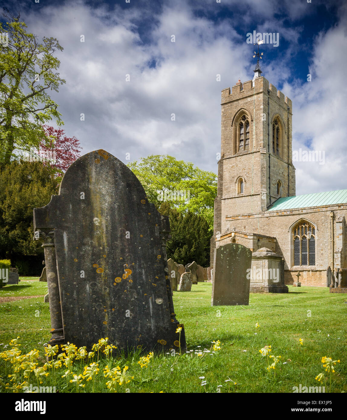 Basso angolo immagine di Castle Ashby chiesa nel Northamptonshire, Regno Unito, su una mattina di primavera con drammatica nuvole, cowslips e alberi Foto Stock