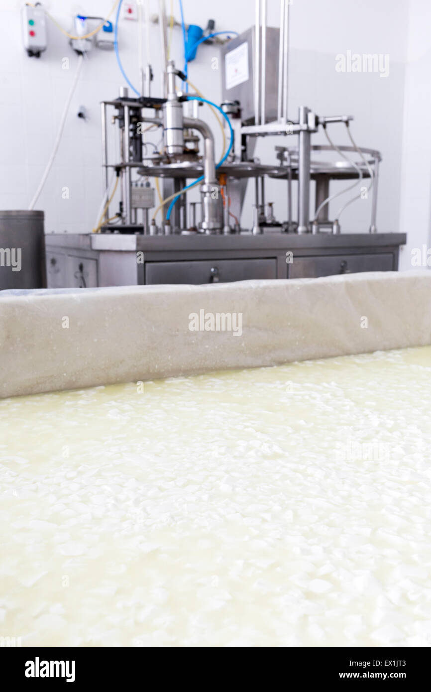 Un bufalo partita di formaggio in un serbatoio in un piccolo caseificio di famiglia. Il caseificio è specializzata in buffalo yogurt e formaggio prodotto Foto Stock