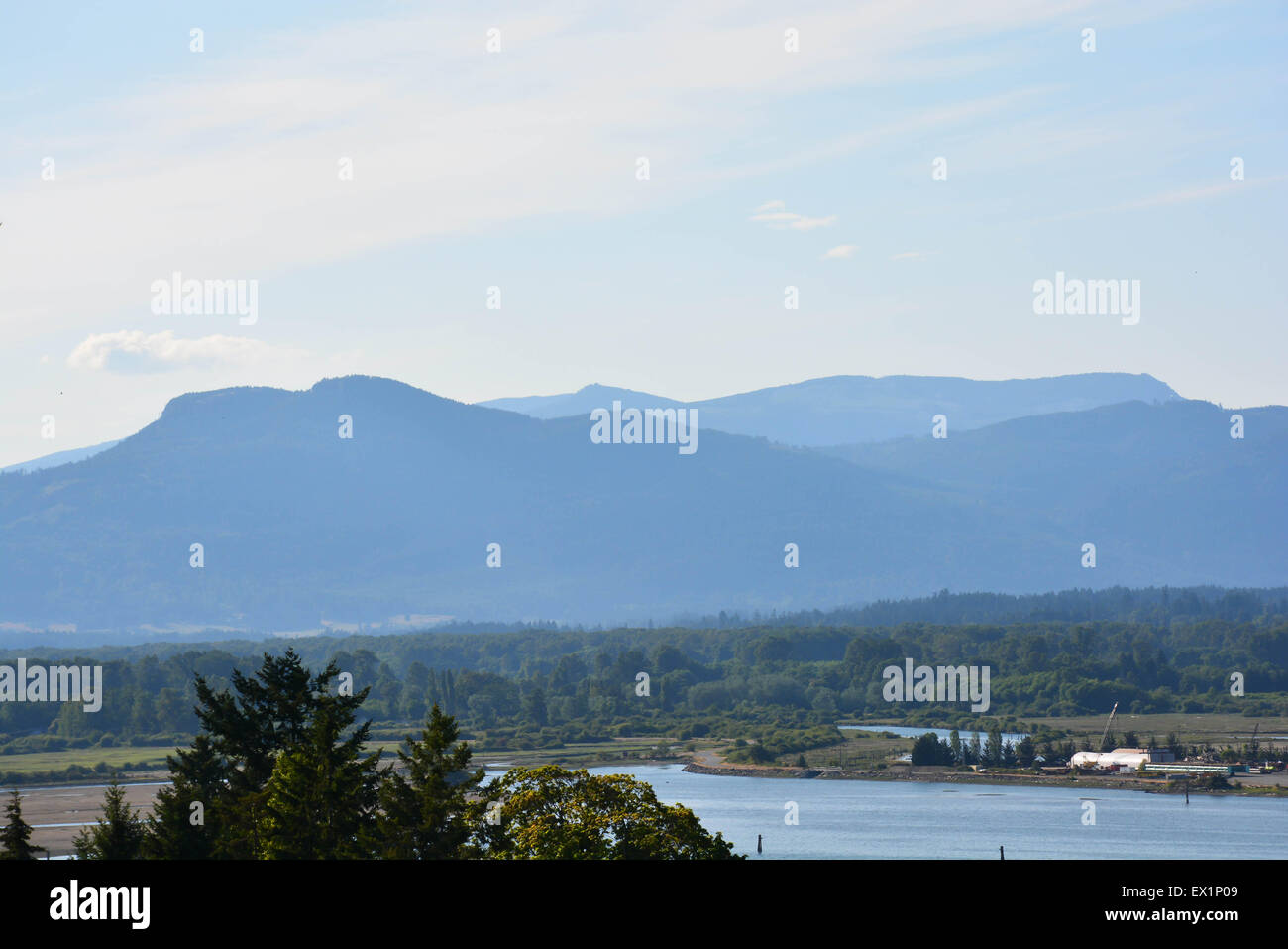 Valle di Cowichan, Isola di Vancouver Foto Stock