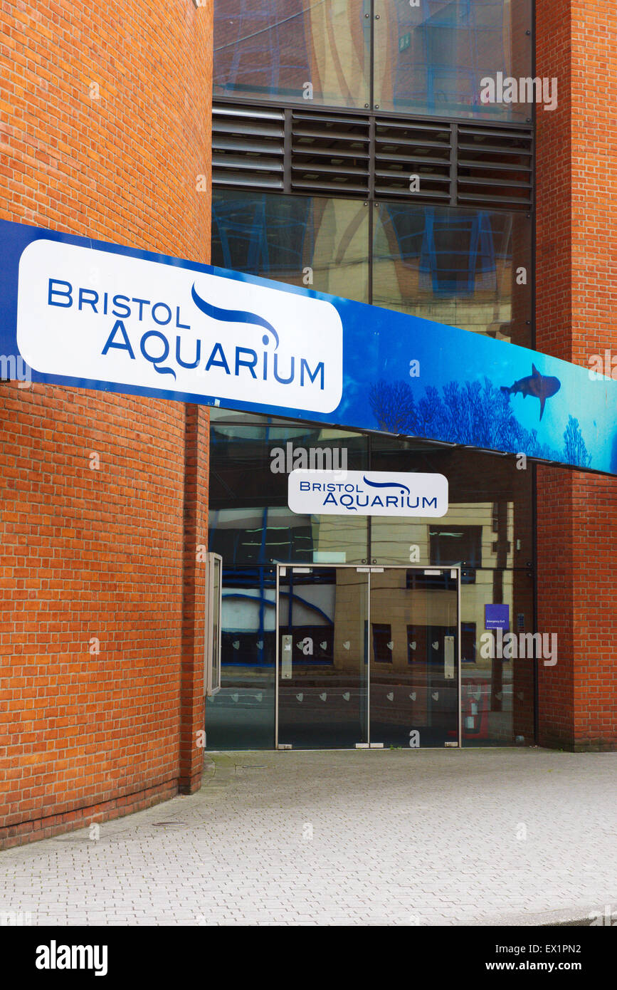 Bristol Aquarium ingresso Foto Stock