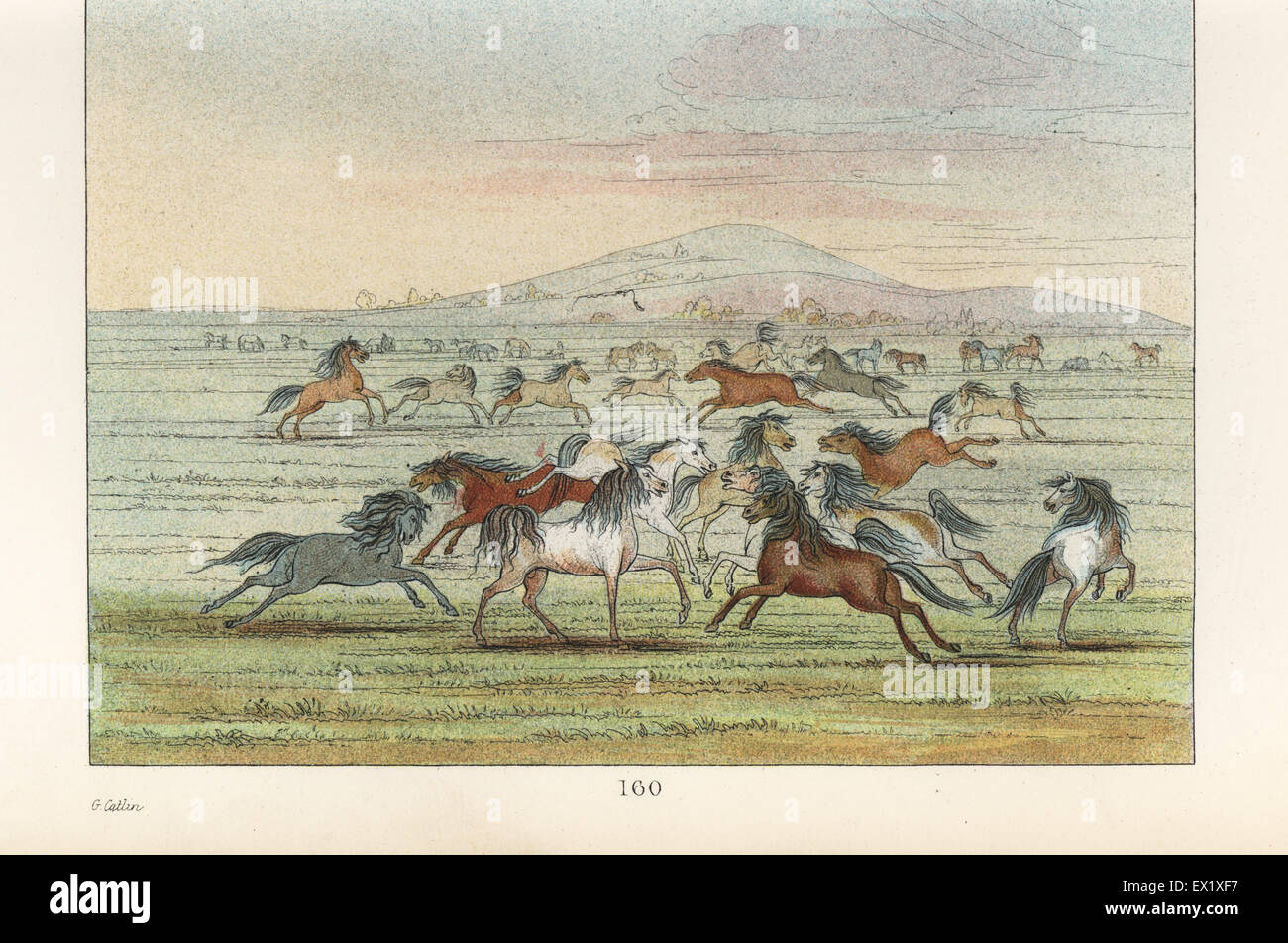 Allevamento di cavalli selvaggi su American Plains. Handcolored litografia dal George Catlin's maniere, doganale e le condizioni degli Indiani del Nord America, Londra, 1841. Foto Stock