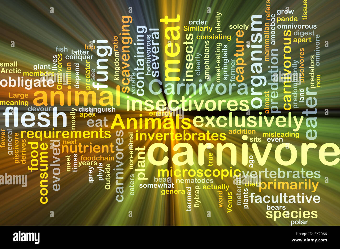 Concetto di sfondo wordcloud illustrazione di carnivoro luce incandescente Foto Stock