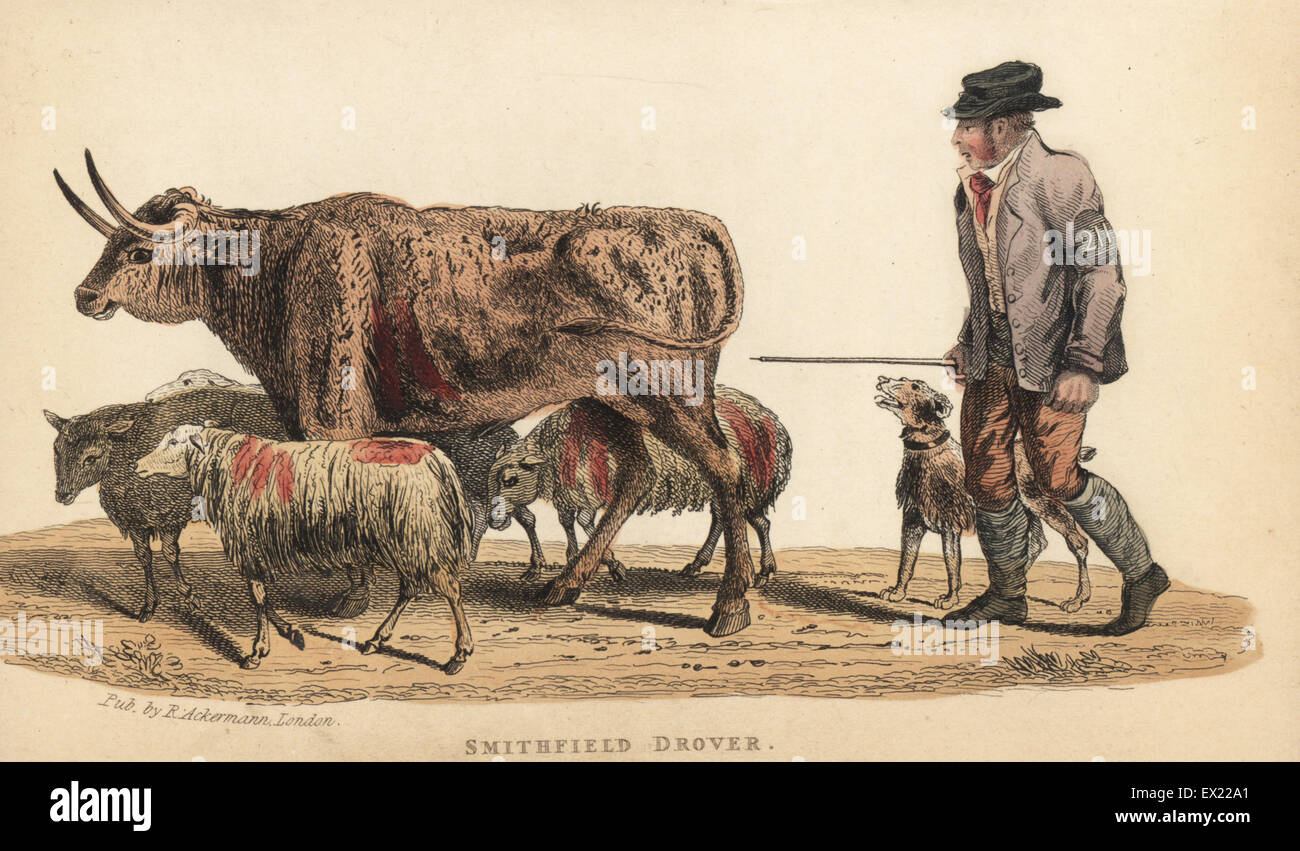 Smithfield drover guidando i bovini e gli ovini per Smithfield mercato del bestiame, inizi del XIX secolo. Handcolored incisione su rame da William Henry Pyne è il mondo in miniatura: Inghilterra, Scozia e Irlanda, Ackermann, 1827. Foto Stock