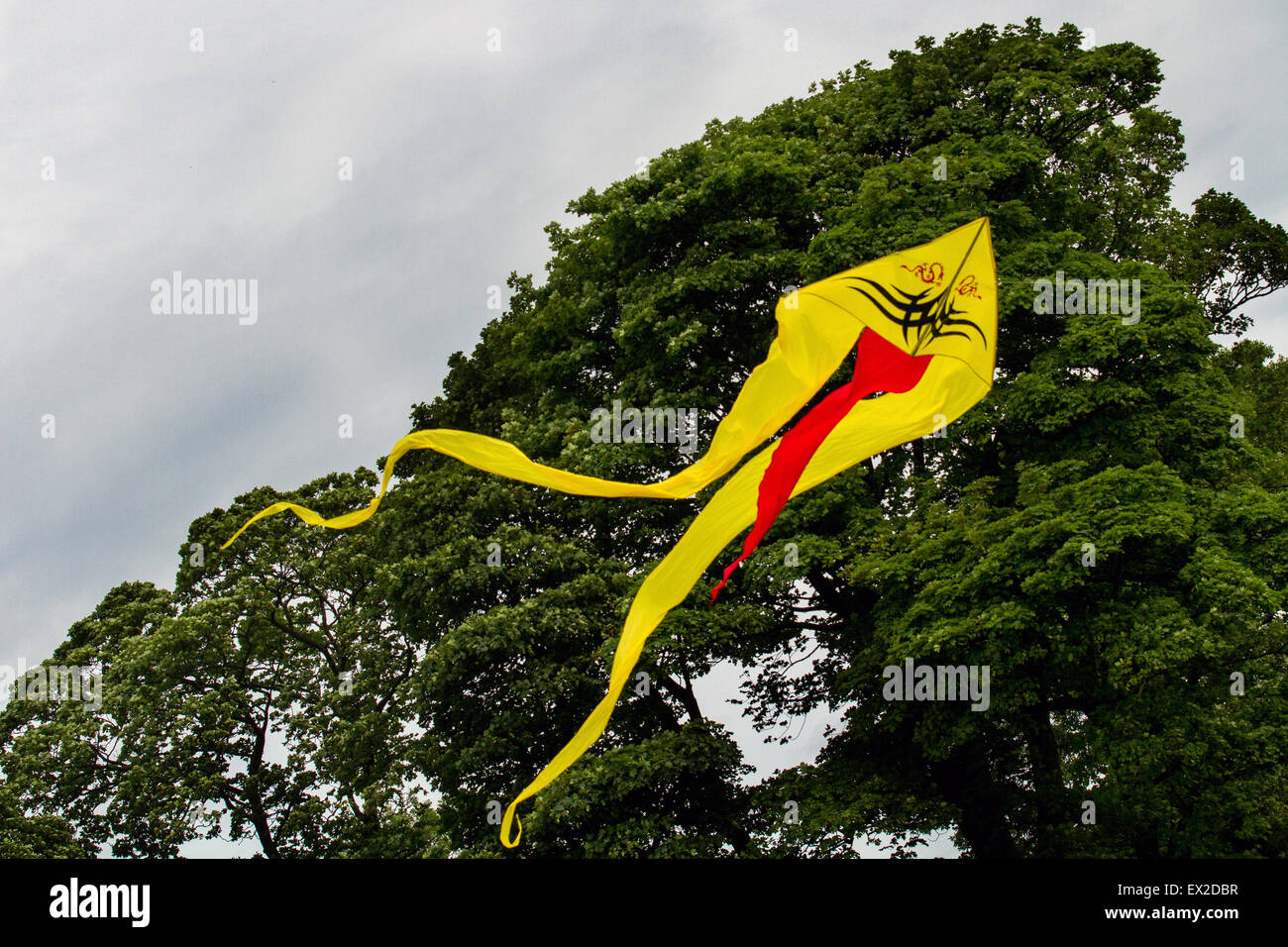 Hoghton, Lancashire, Regno Unito. 5 Luglio, 2015. Il nord del gruppo del Kite e Hoghton Tower Preservation Trust ha presentato un altro colorato aquilone giorno a Hoghton Tower aquiloni alti più di Lancashire. . Aquiloni di tutte le forme e dimensioni ravvivato il cielo. Foto Stock