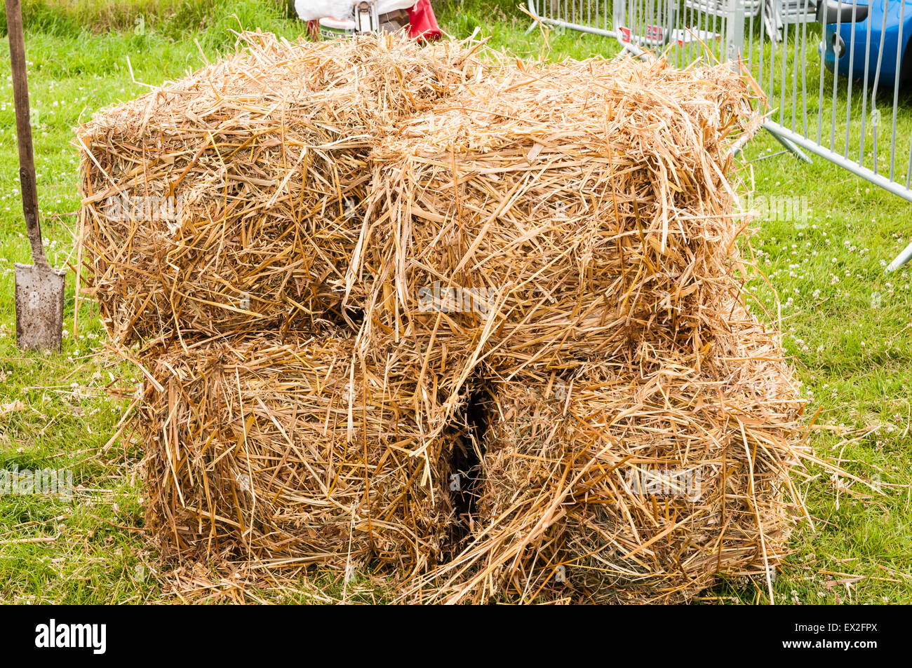 Mucchio di fieno immagini e fotografie stock ad alta risoluzione - Alamy