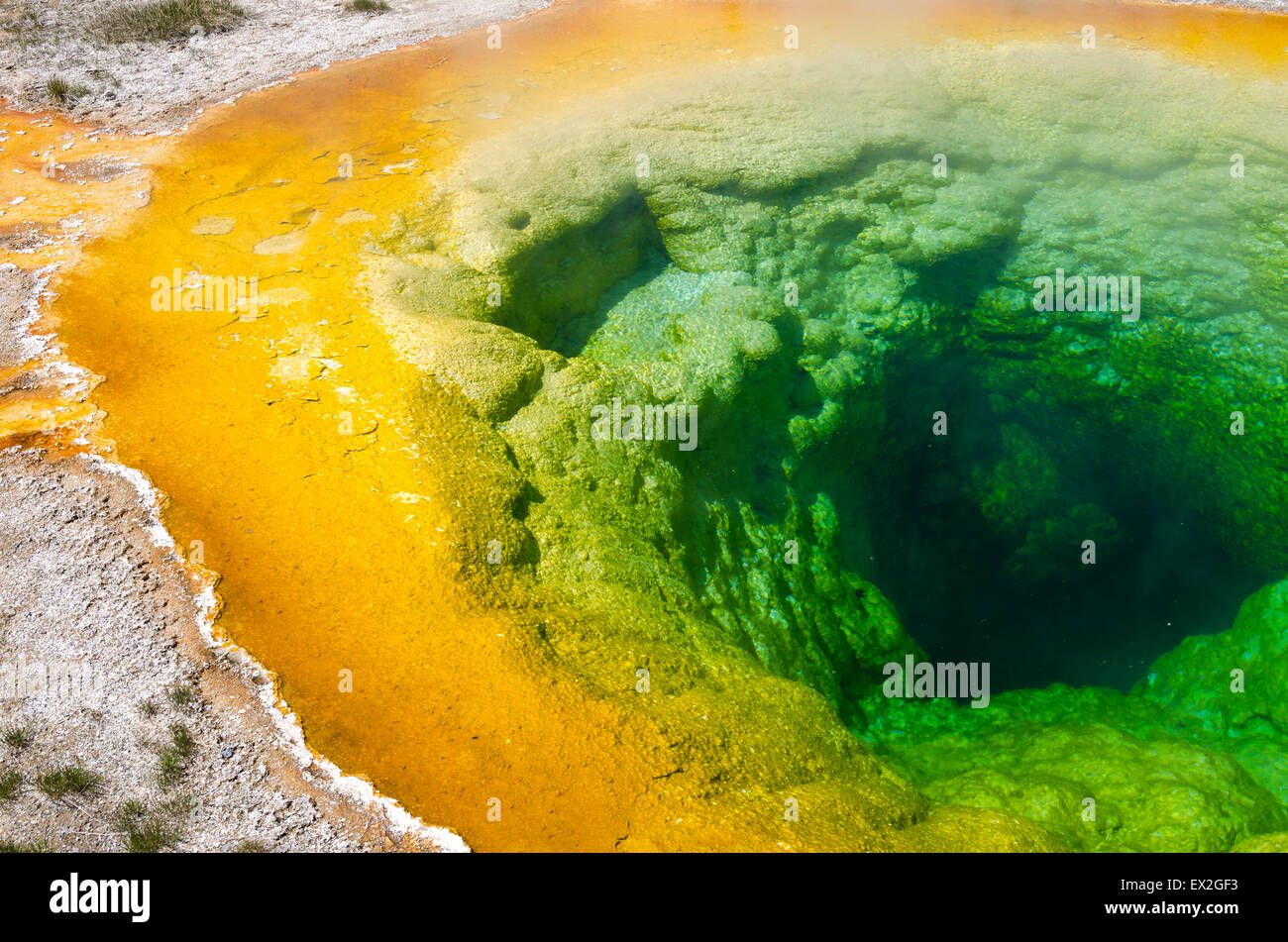 Gloria di mattina piscina nel parco nazionale di Yellowstone Foto Stock