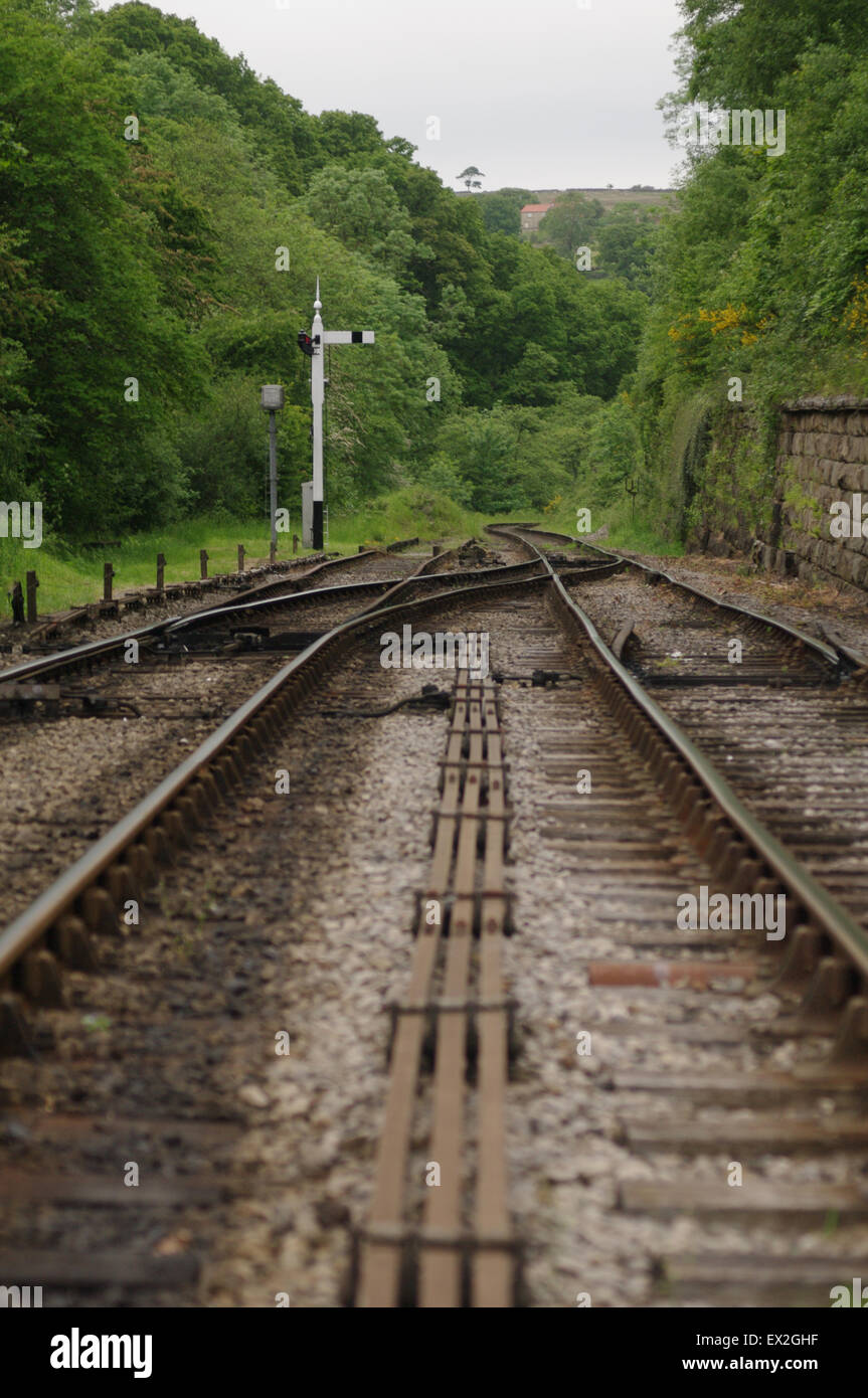 Binari ferroviari, Stazione di Goathland, North Yorkshire, binari ferroviari, Stazione di Goathland, illuminazione naturale del Nord Yorkshire, Paesaggio naturale, senza filtro Foto Stock