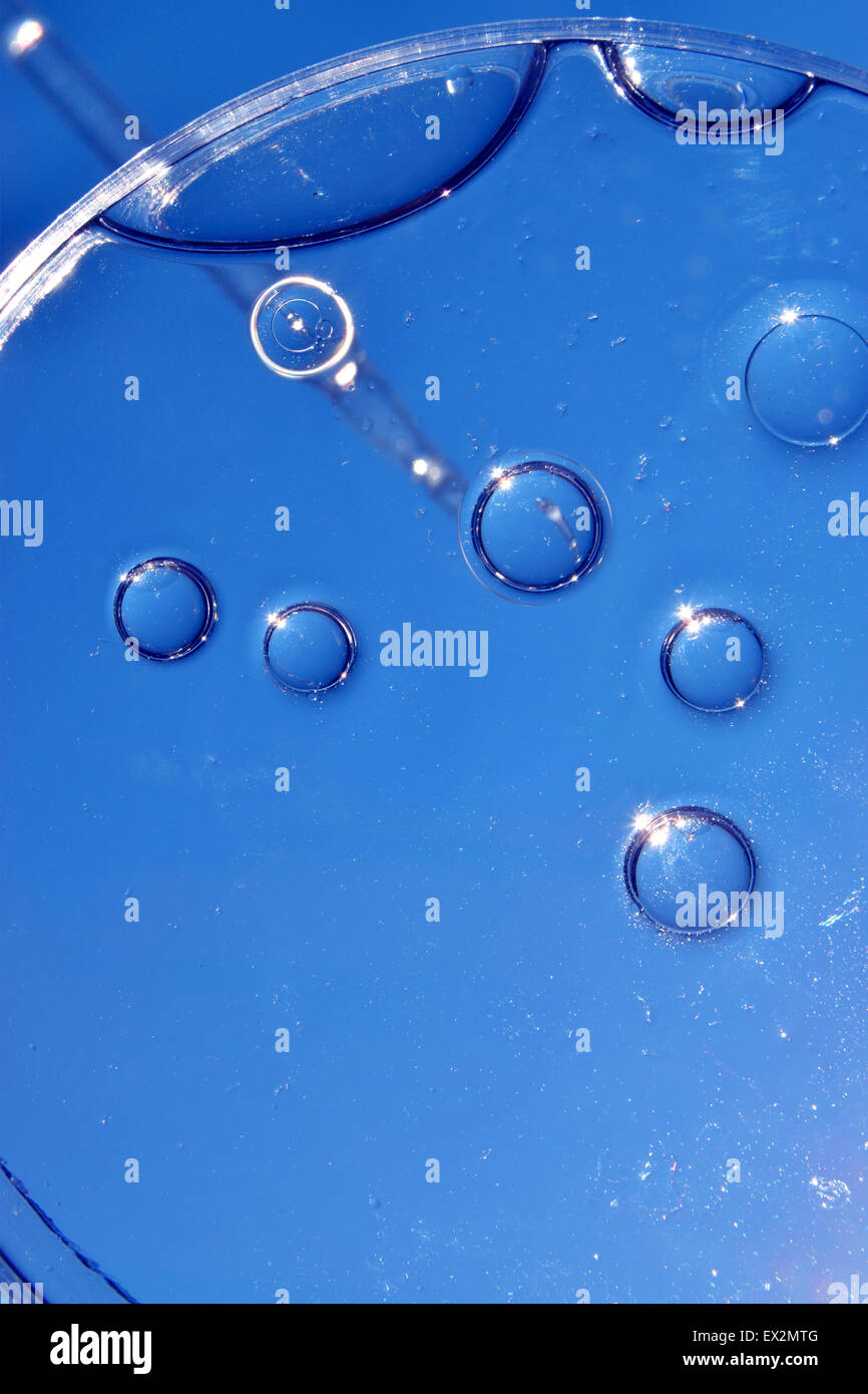 Olio e acqua nella scatola di Petri, sfondo blu Foto Stock