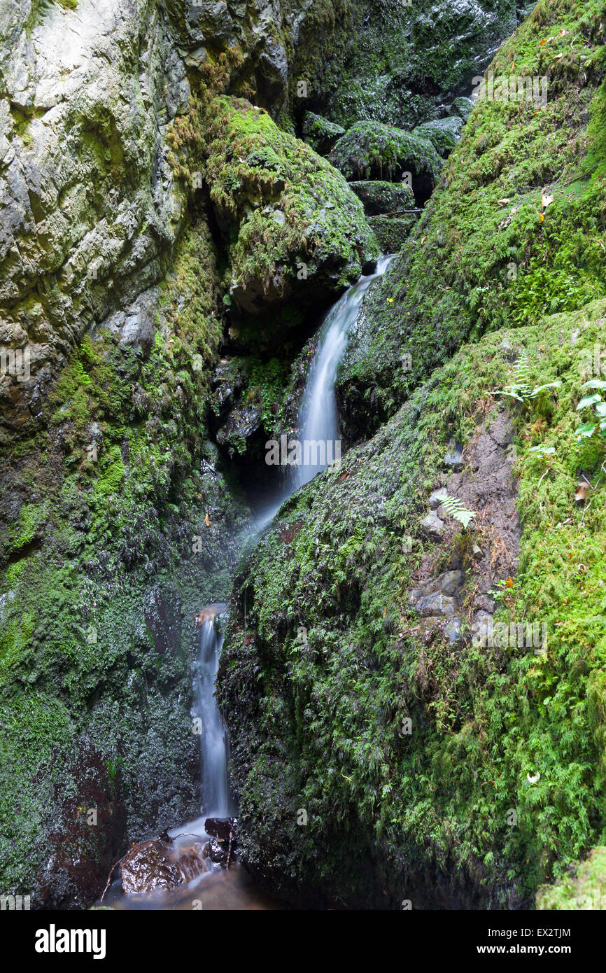 Piccolo ruscello di acqua correndo sulle rocce a Canonteign Falls, Parco Nazionale di Dartmoor, Inghilterra (uno in Inghilterra i livelli più elevati di cascate) Foto Stock