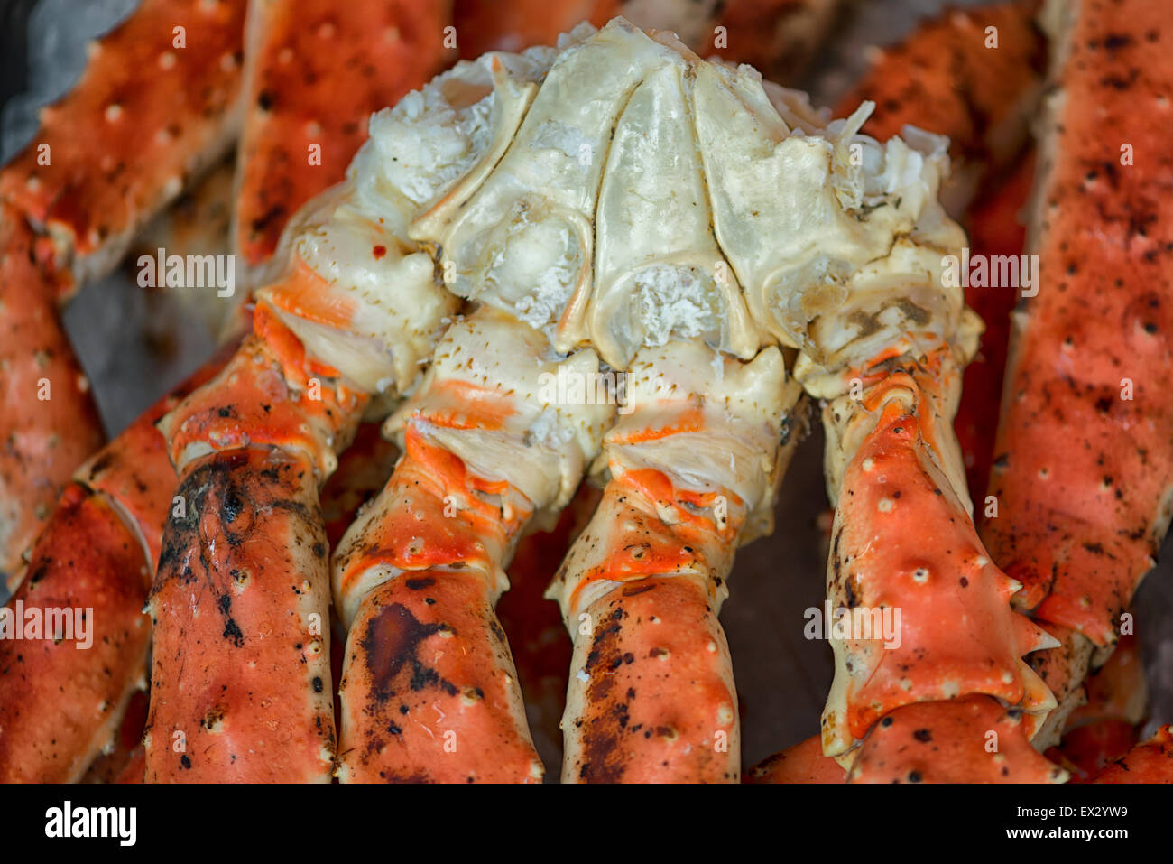 Mercato del Pesce di Bergen, Norvegia Foto Stock