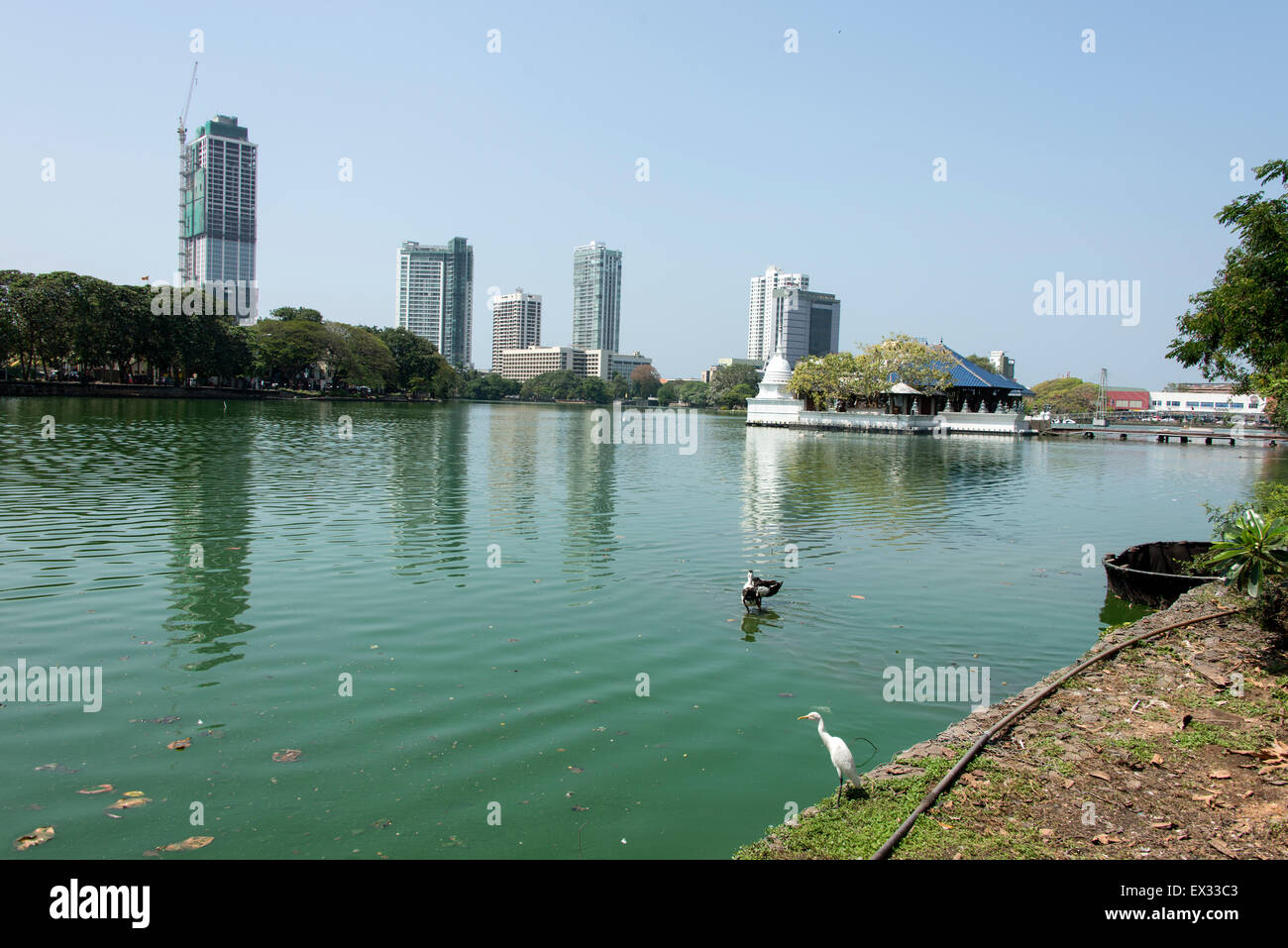 Un tempio buddista, Vederema Malakaya tempio sul lago di Beira in Sir James Sarcococca Mawatha, Colombo in Sri Lanka. Il lago di Beira è in Foto Stock