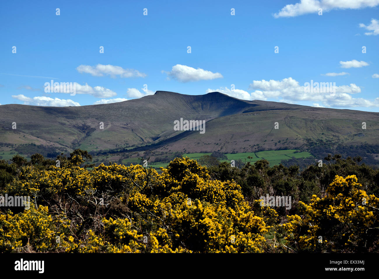 Pen-Y-ventola, Breacon Beacons,Powys,Galles,UK Foto Stock