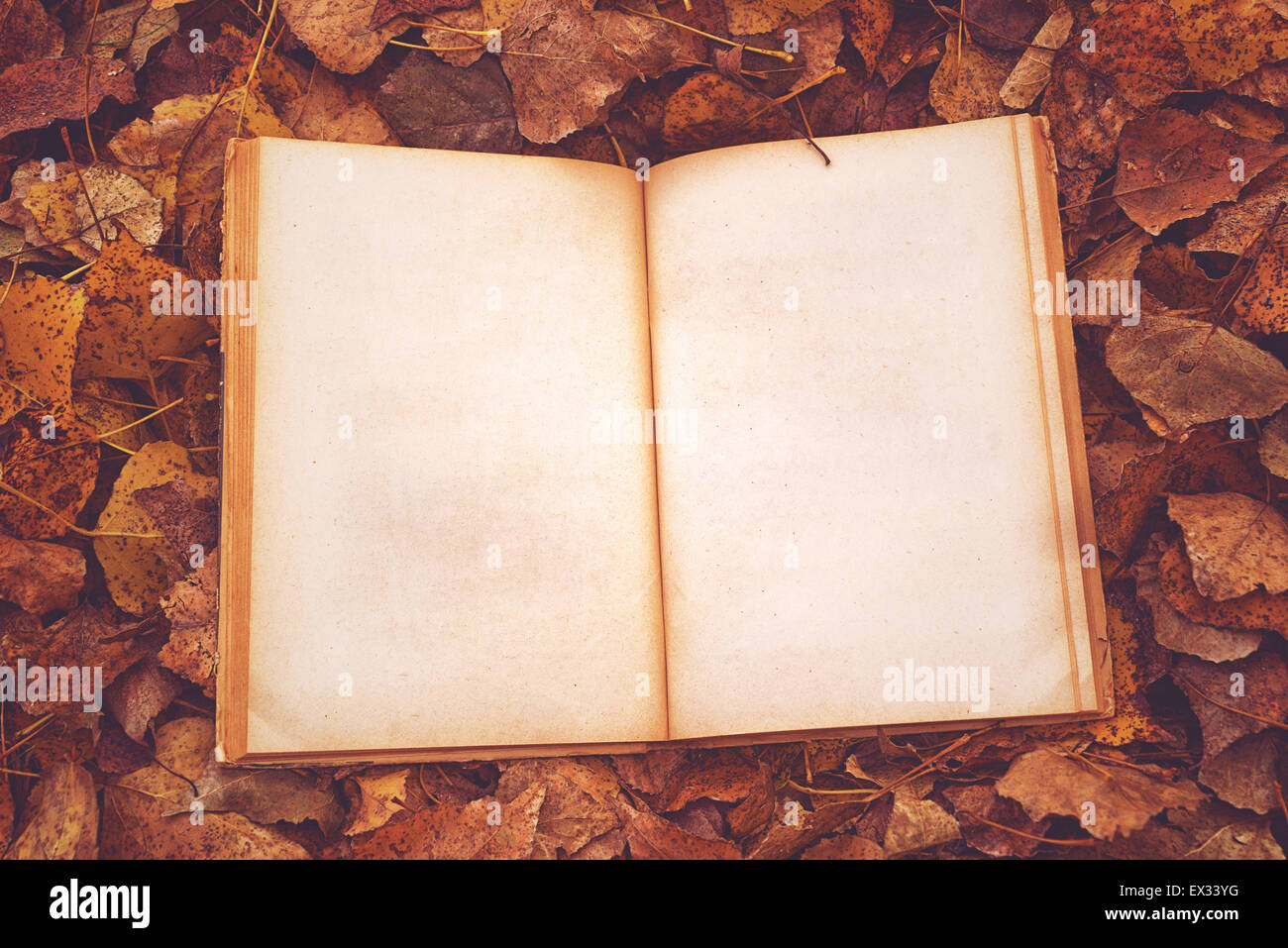 Libro Vintage con pagine vuote come copia di spazio su caduto foglie di autunno sfondo, vista dall'alto, dai toni rétro immagine Foto Stock