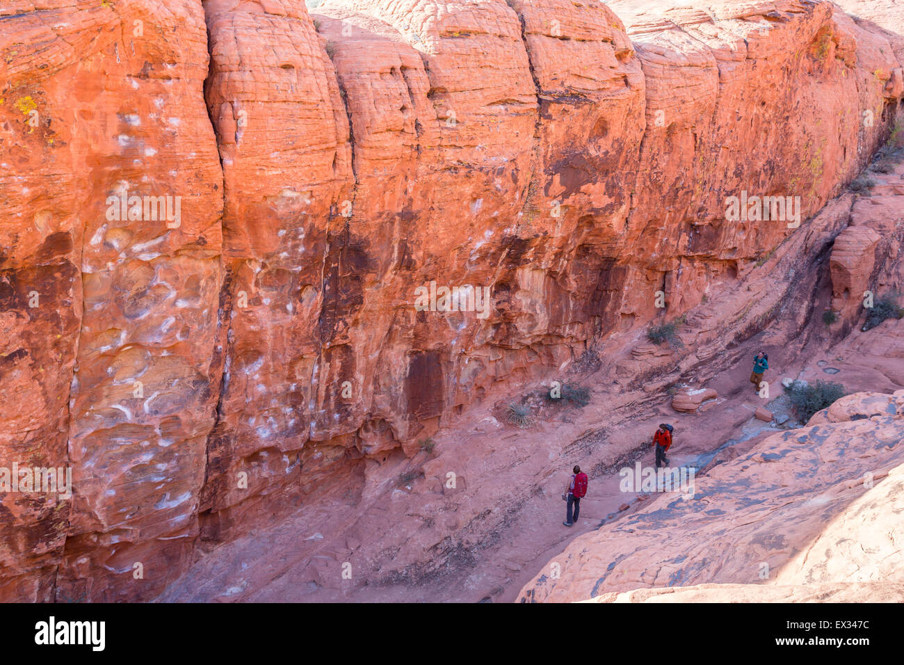 Tre arrampicatori escursione verso il basso un canyon in il calicò colline di roccia rossa, il Nevada. Foto Stock