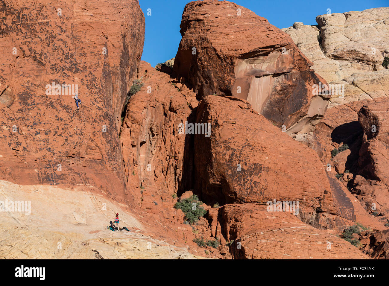 Due arrampicatori lavorare un percorso sulle rocce rosse del calicò colline nella roccia rossa, il Nevada. Foto Stock