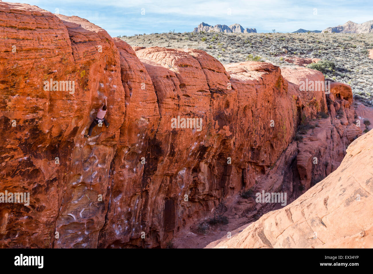 Un scalatore di pietra lo conduce un percorso di sport al molo di roccia rossa, il Nevada. Foto Stock