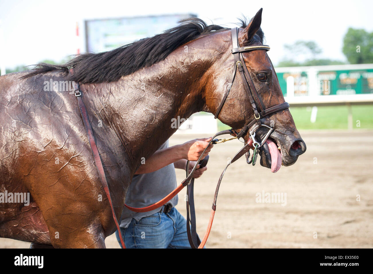 Oceanport, New Jersey, USA. 5 Luglio, 2015. Luglio 05 2015: Bradester con Eddie Kenneally vincere il grado III Salvator Mile picchetti per 3 anni, andando a 1 miglio a Monmouth Park. Trainer Lanerie Corey. Proprietario Giuseppe Sutton. Samantha Bussanich/ESW/CSM/Alamy Live News Foto Stock