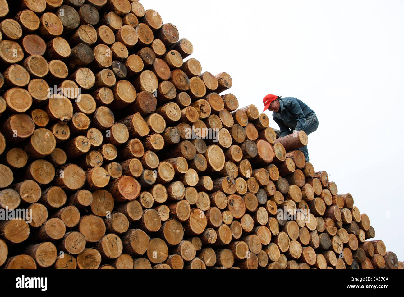 Un operaio si muove un registro ad un mercato del legname in Huaibei, provincia di Anhui Aprile 6, 2010. VCP Foto Stock
