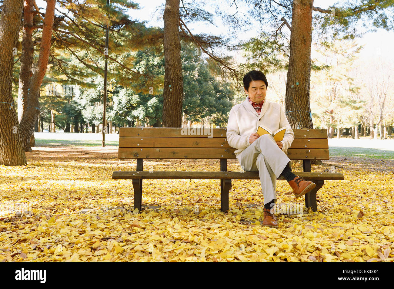 Senior giapponese uomo seduto su una panchina con un libro in un parco della città in autunno Foto Stock
