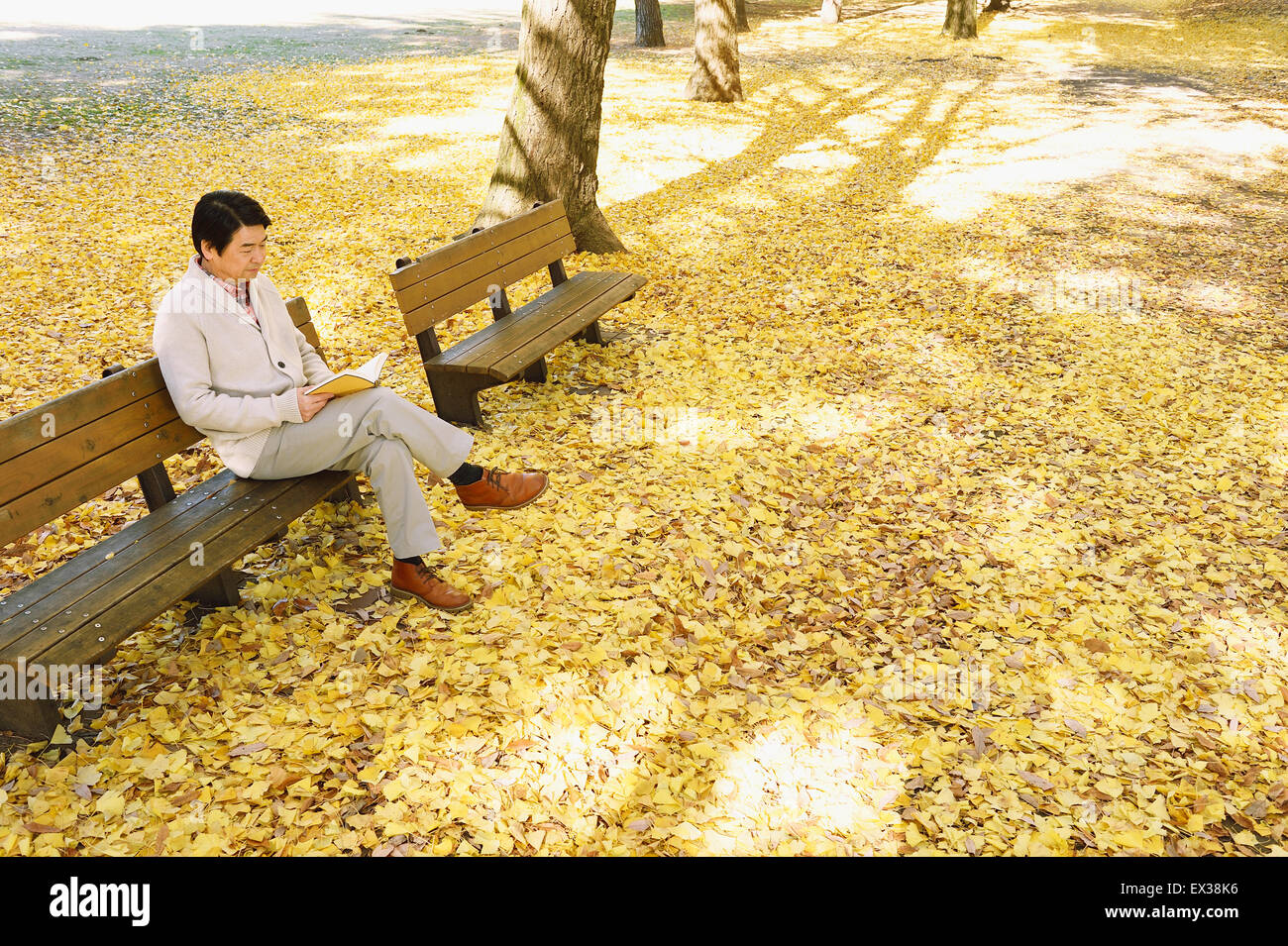 Senior giapponese uomo seduto su una panchina con un libro in un parco della città in autunno Foto Stock