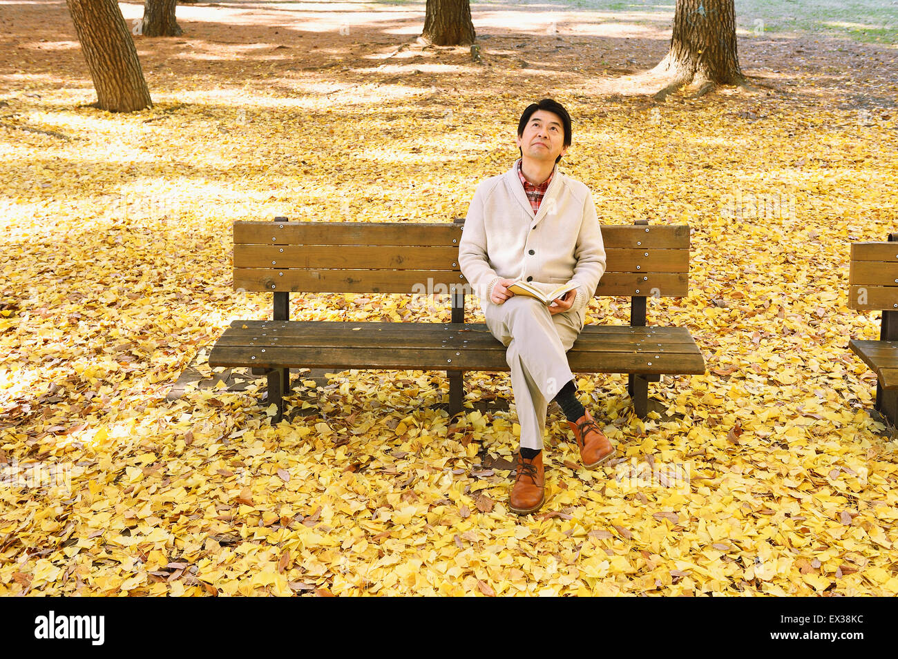 Senior giapponese uomo seduto su una panchina con un libro in un parco della città in autunno Foto Stock