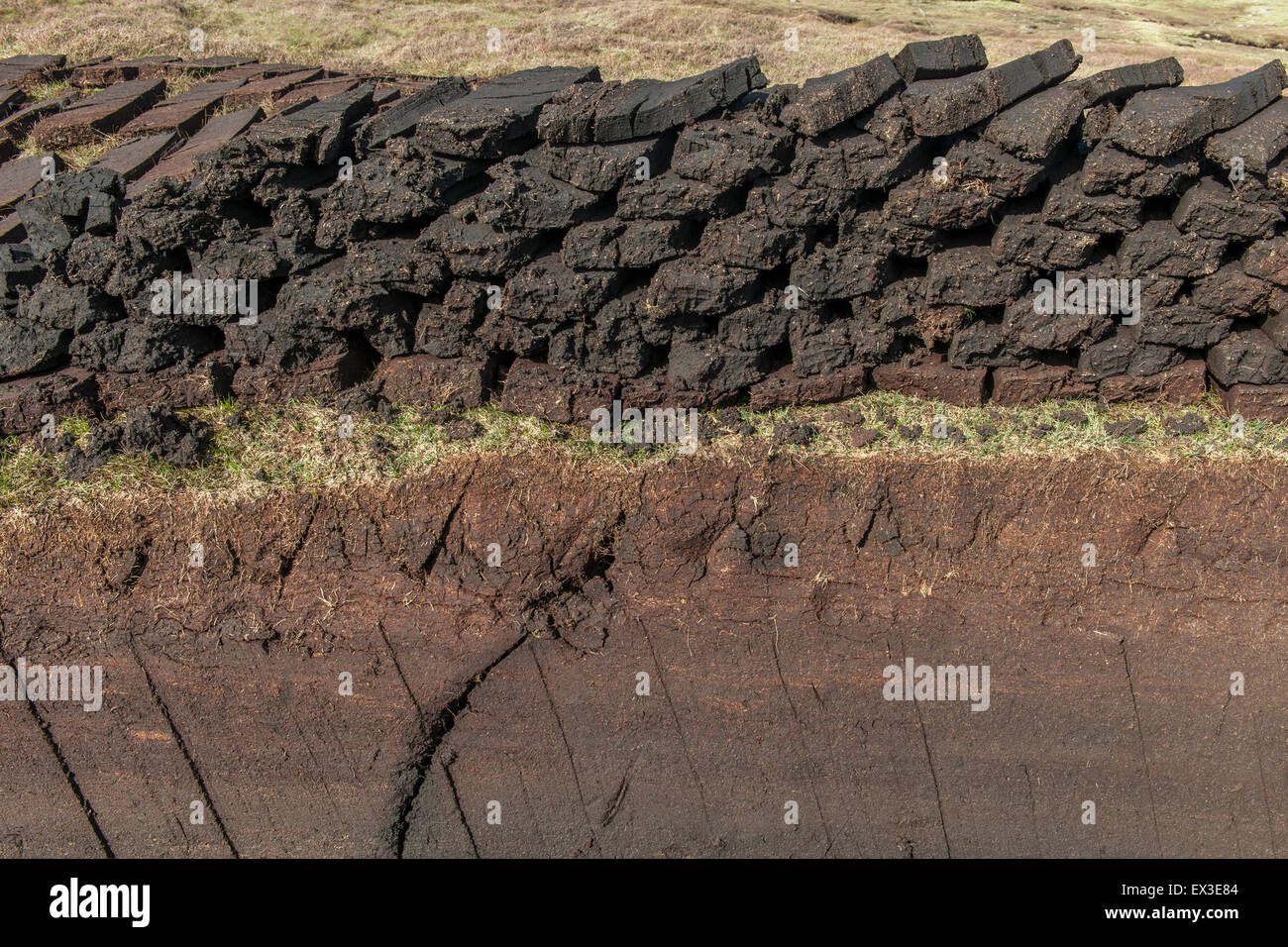 Tagliare la torba su una torbiera, Yell, isole Shetland, Scotland, Regno Unito Foto Stock