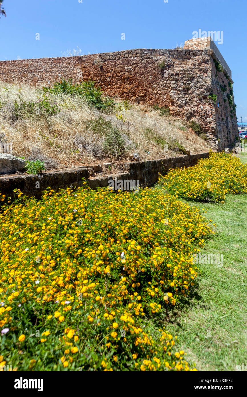 Fiori di Lantana Lantana camara, Chania, Creta, Grecia, Europa Foto Stock