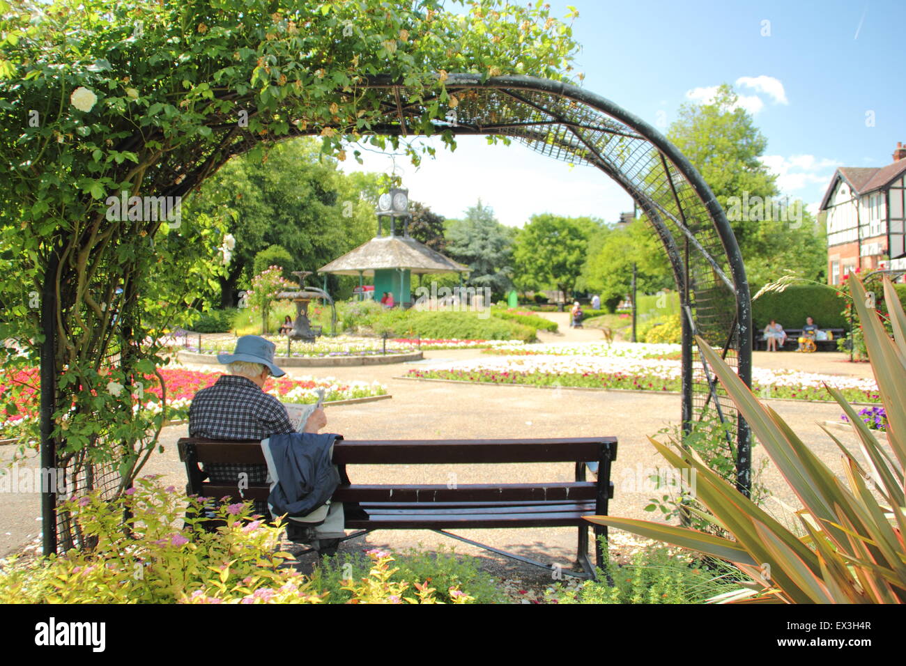 Un uomo legge un giornale seduti sotto un arco di rose in una giornata di sole in Hall Leys Park, Matlock, Derbyshire Dales, England Regno Unito Foto Stock