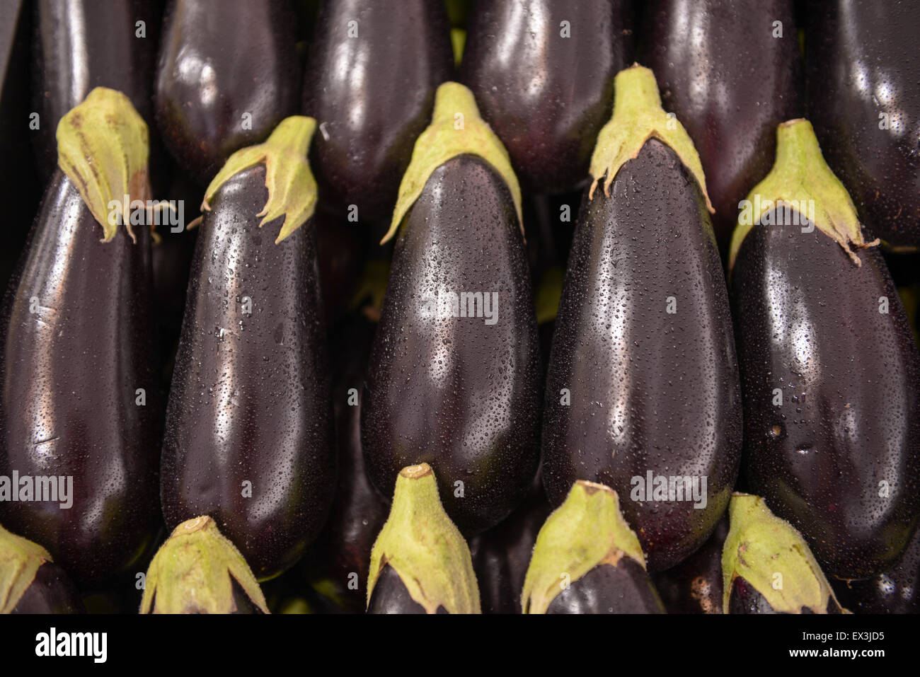Molto ben piegati pulire le melanzane melanzana brinjal Foto Stock