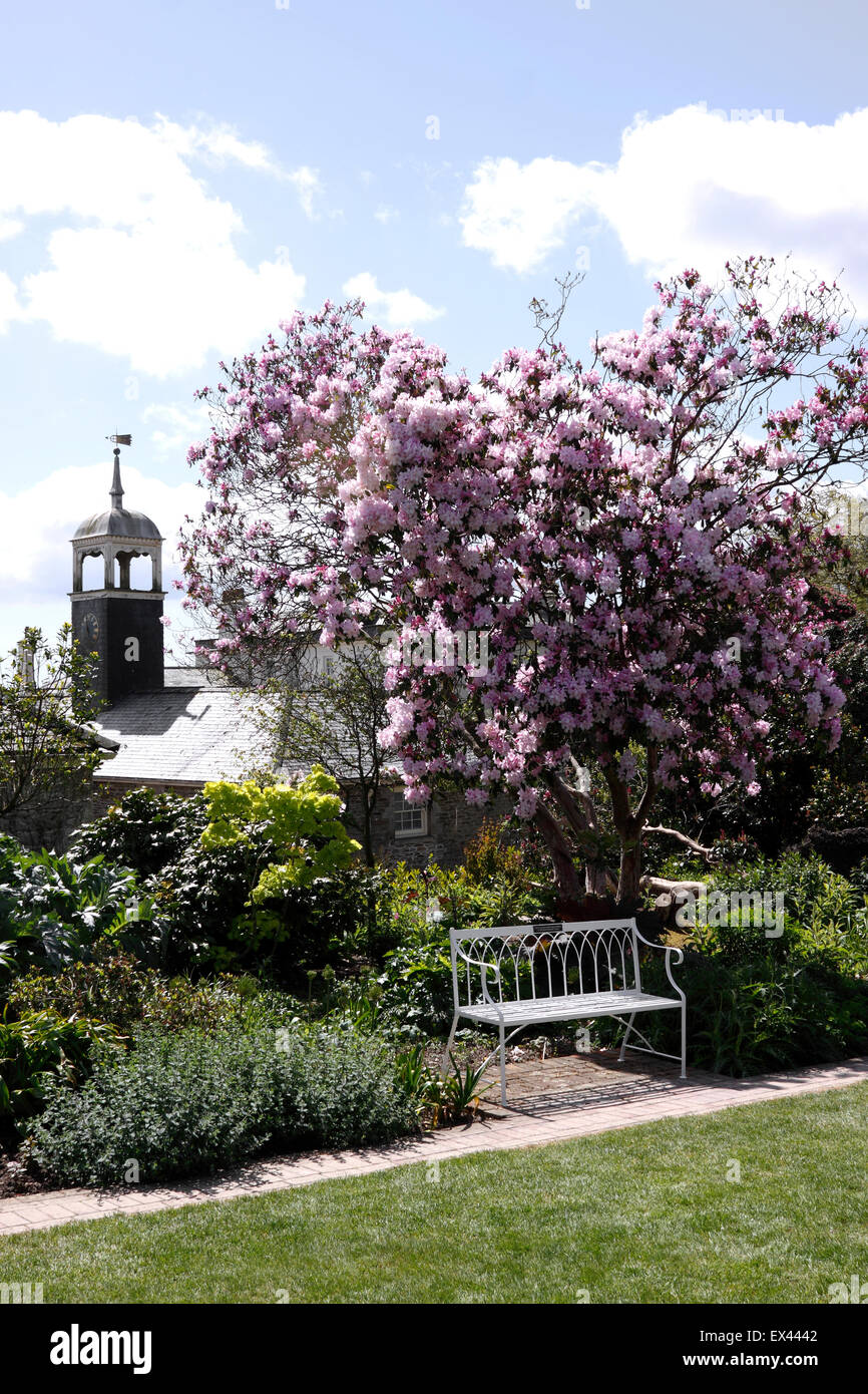 Il Lost Gardens of Heligan CORNWALL, la meridiana giardino Foto Stock