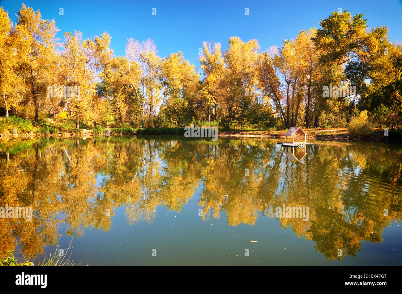 Paesaggio autunnale. Composizione della natura. Foto Stock