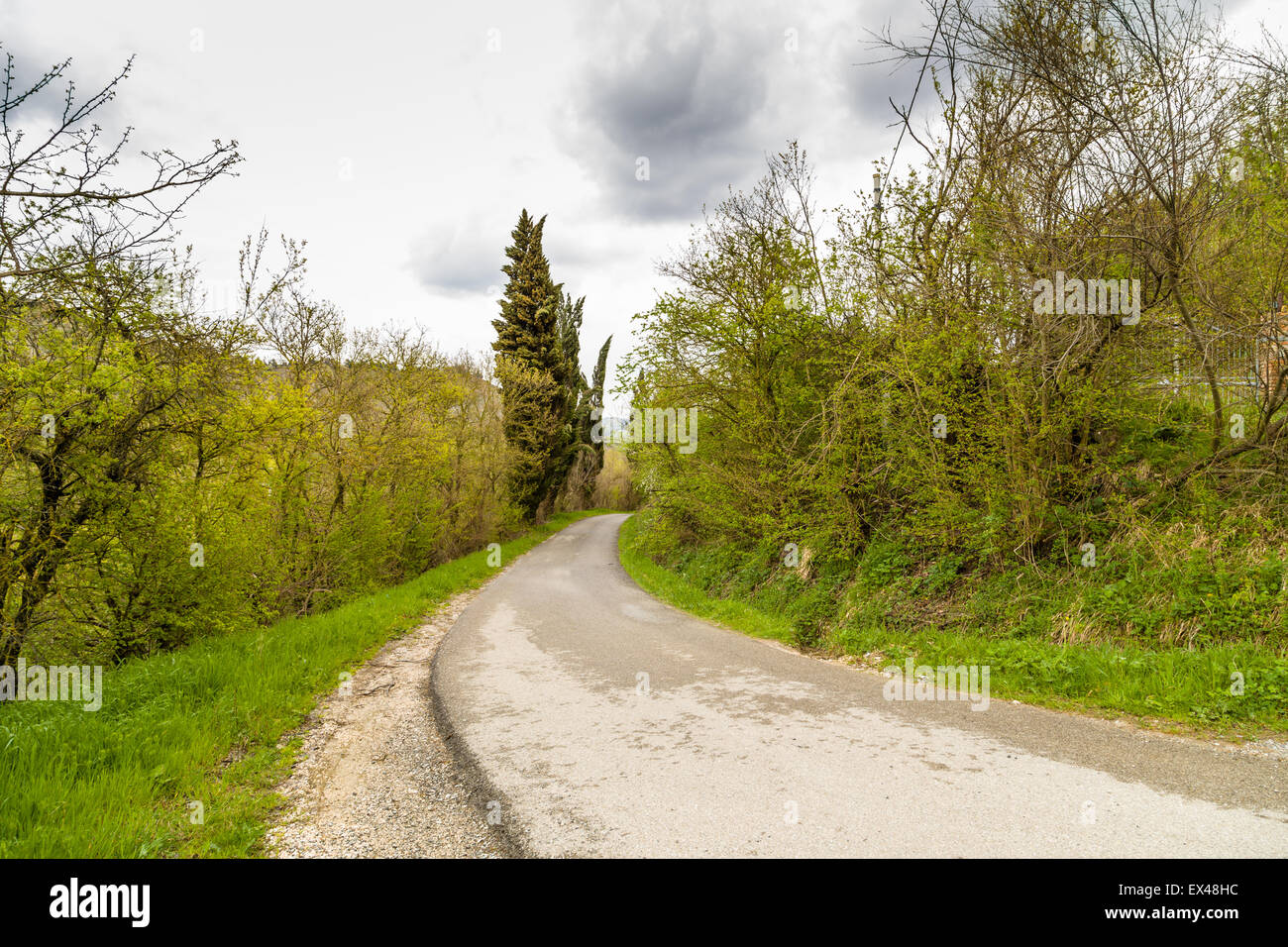 La serenità di una strada di campagna che scompare all'orizzonte nel mezzo di campi coltivati durante la primavera Foto Stock