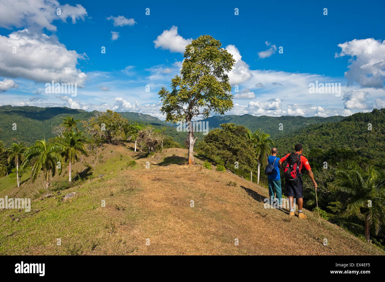 Vista orizzontale di turisti che si godono il panorama in Topes de Collantes Parco Nazionale di Cuba. Foto Stock