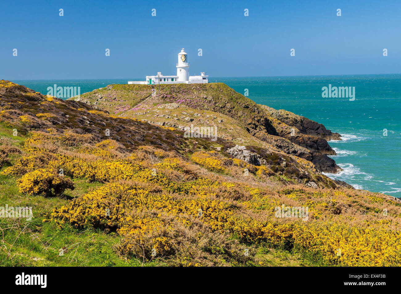 Strumble Head e il 1908 Faro sulla Il Pembrokeshire Coast of Wales UK Europa Foto Stock