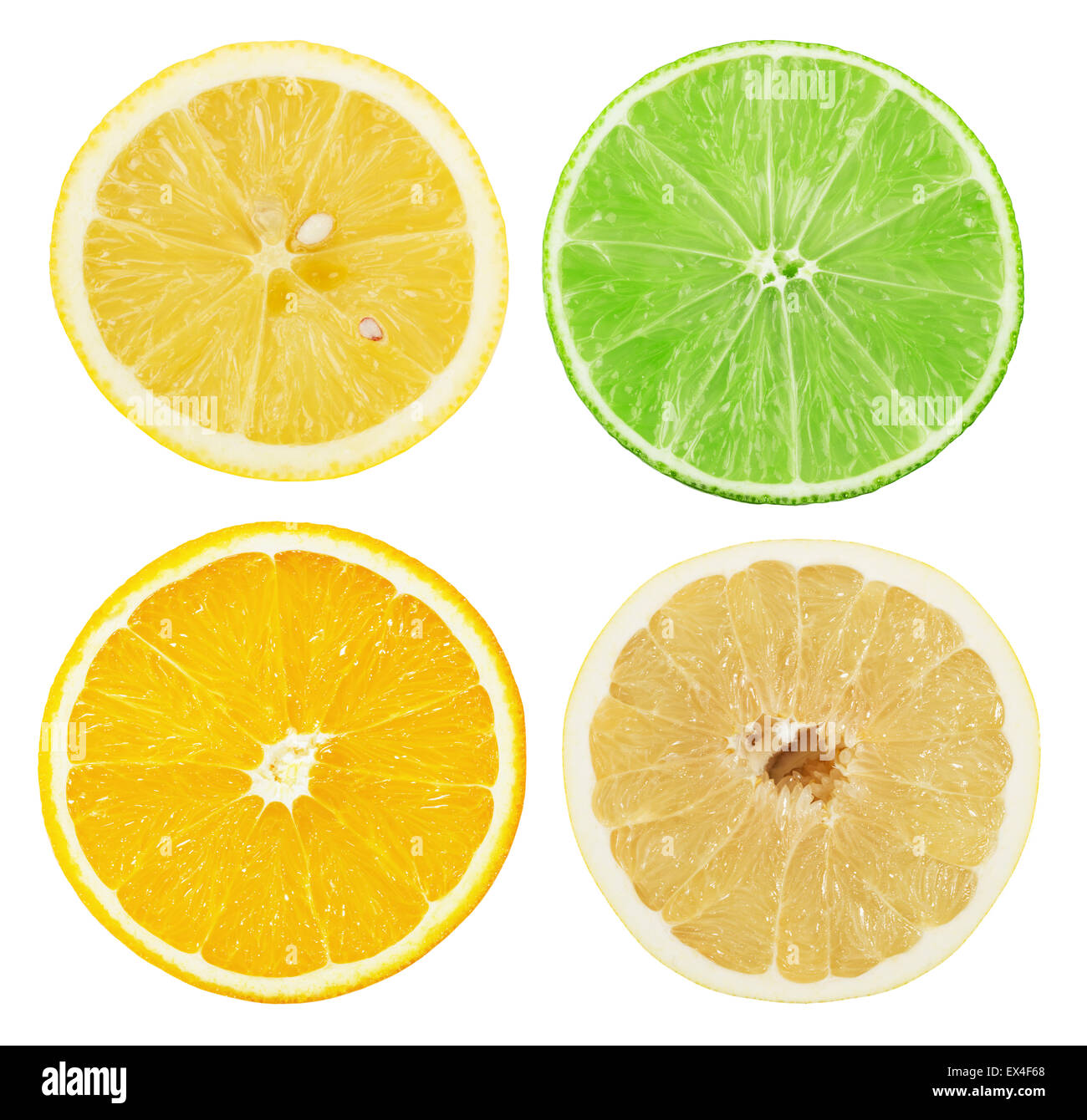 Set di citrus isolato su uno sfondo bianco. Foto Stock