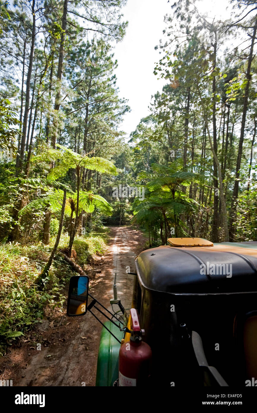 Vista verticale di un vecchio militare russo carrello il trasporto di turisti in giro per Topes de Collantes Parco Nazionale di Cuba. Foto Stock