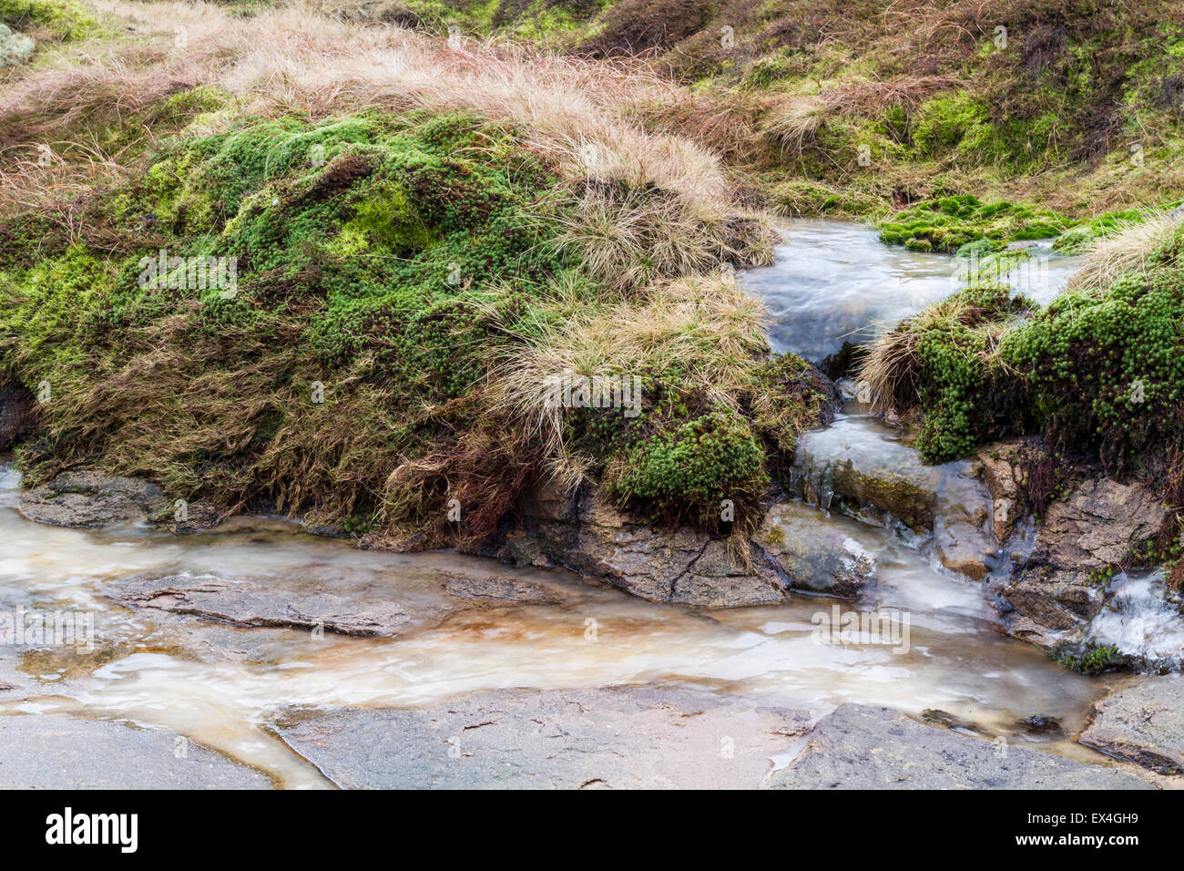 Inverno il ghiaccio. Un flusso di congelato sulla brughiera, Kinder Scout, Derbyshire, England, Regno Unito Foto Stock