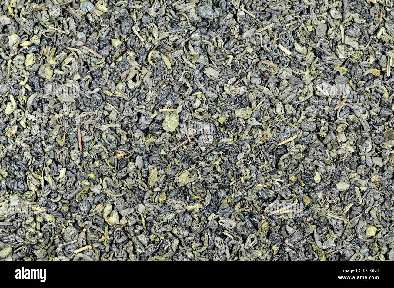 Close up del tè verde pieghevoli ( polvere da sparo), dettaglio, macro, full frame, orizzontale, direttamente sopra Foto Stock