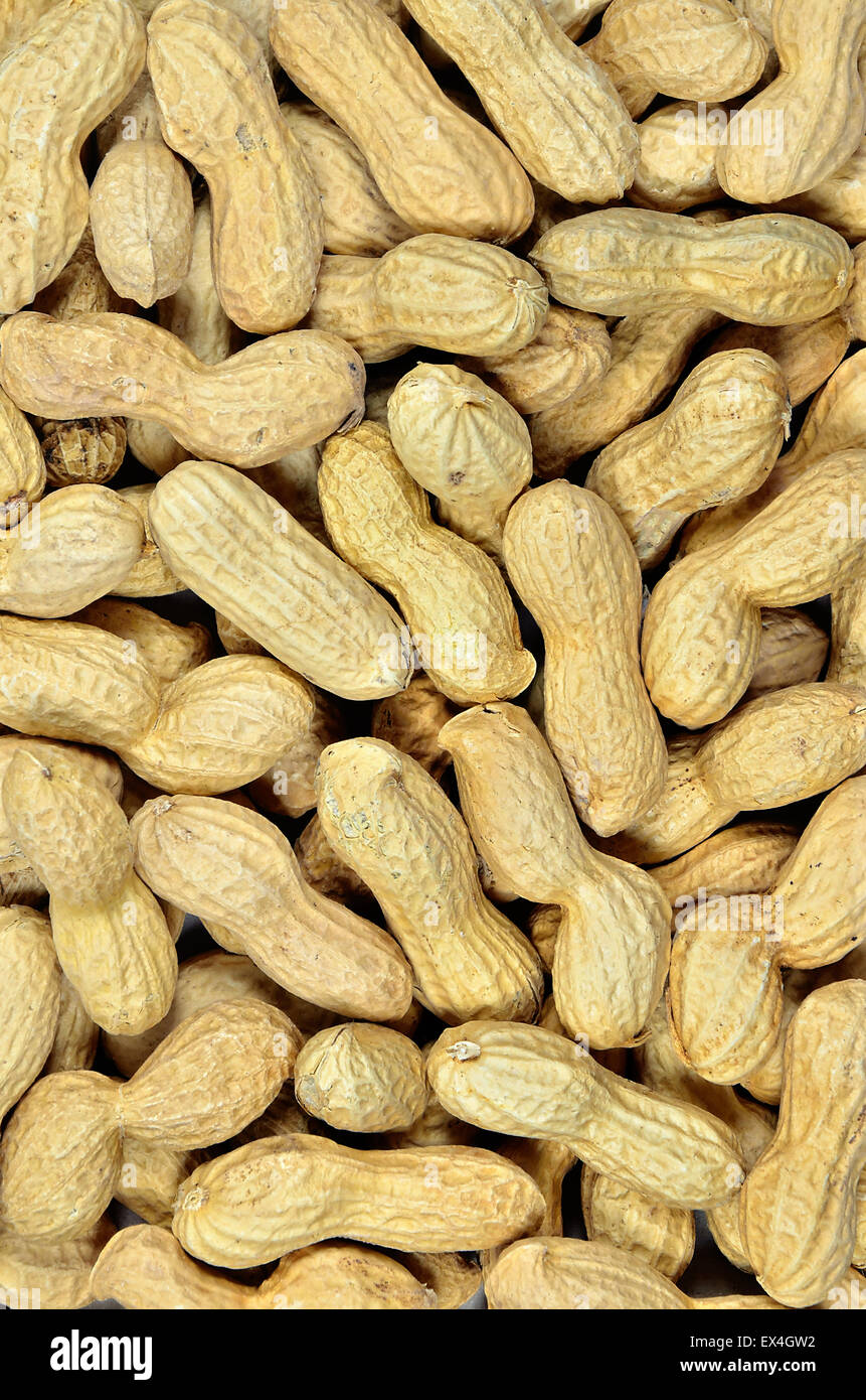 Close up di arachidi con guscio, dettaglio, macro, full frame, direttamente sopra, verticale Foto Stock
