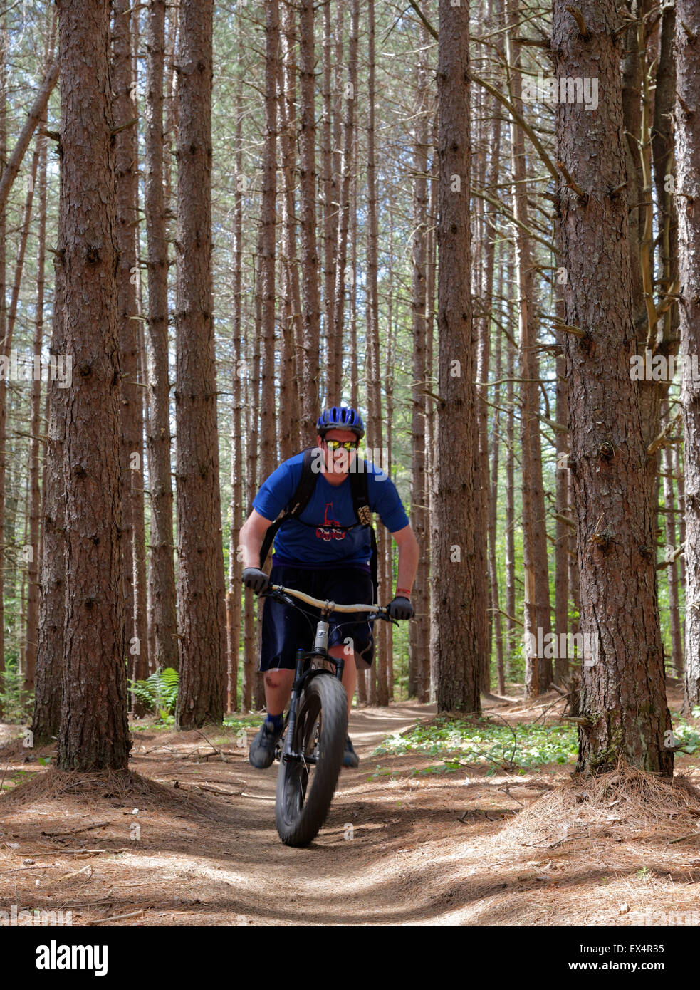 Fatbike Mountain bike sui veli trail nel Regno sentieri, Vermont, USA Foto Stock
